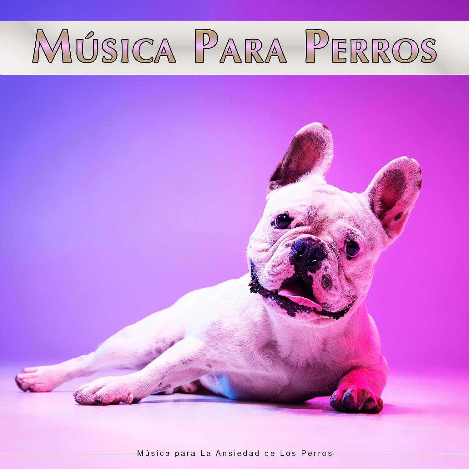 Постер альбома Música Para Perros: Música para La Ansiedad de Los Perros