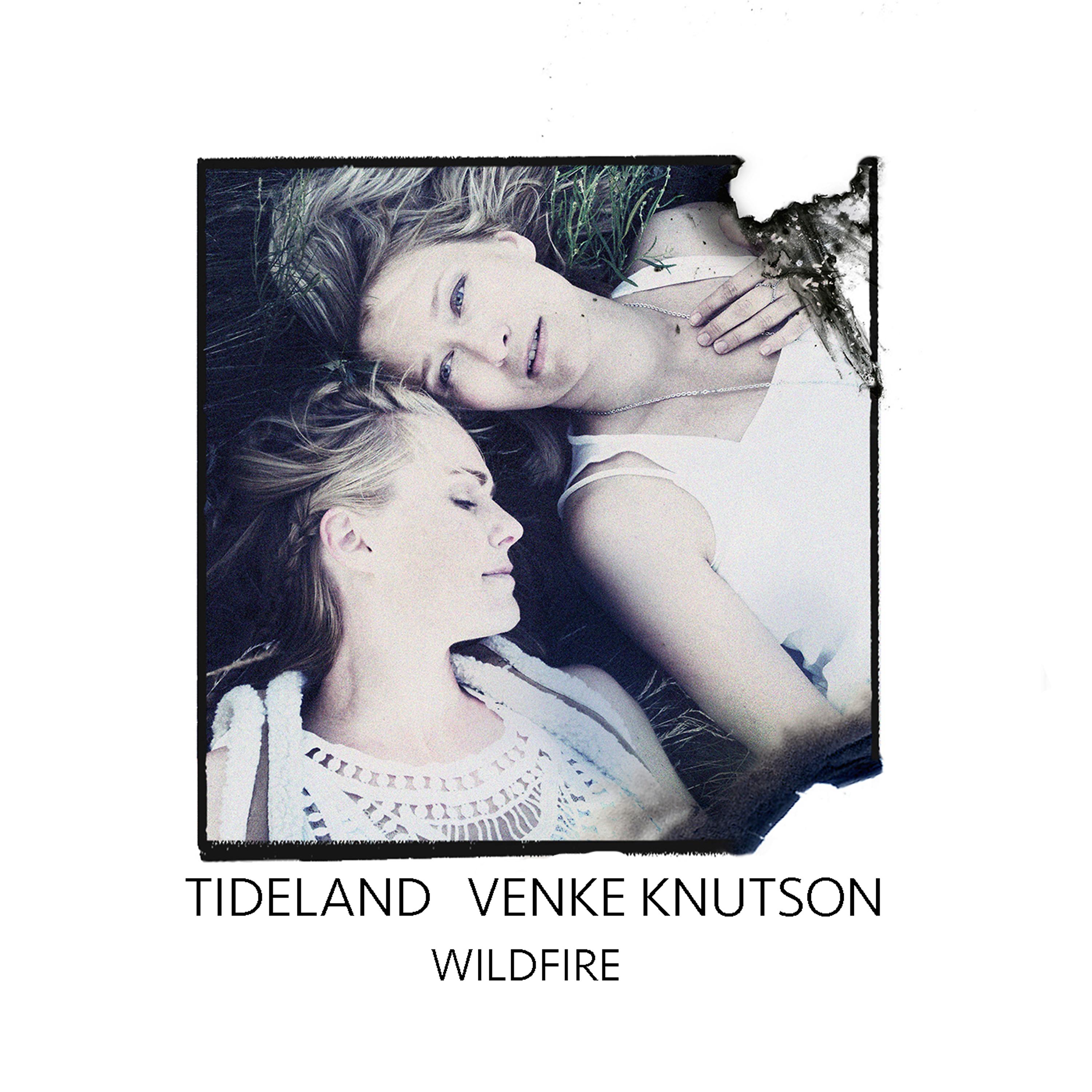 Постер альбома Wildfire (feat. Venke Knutson)