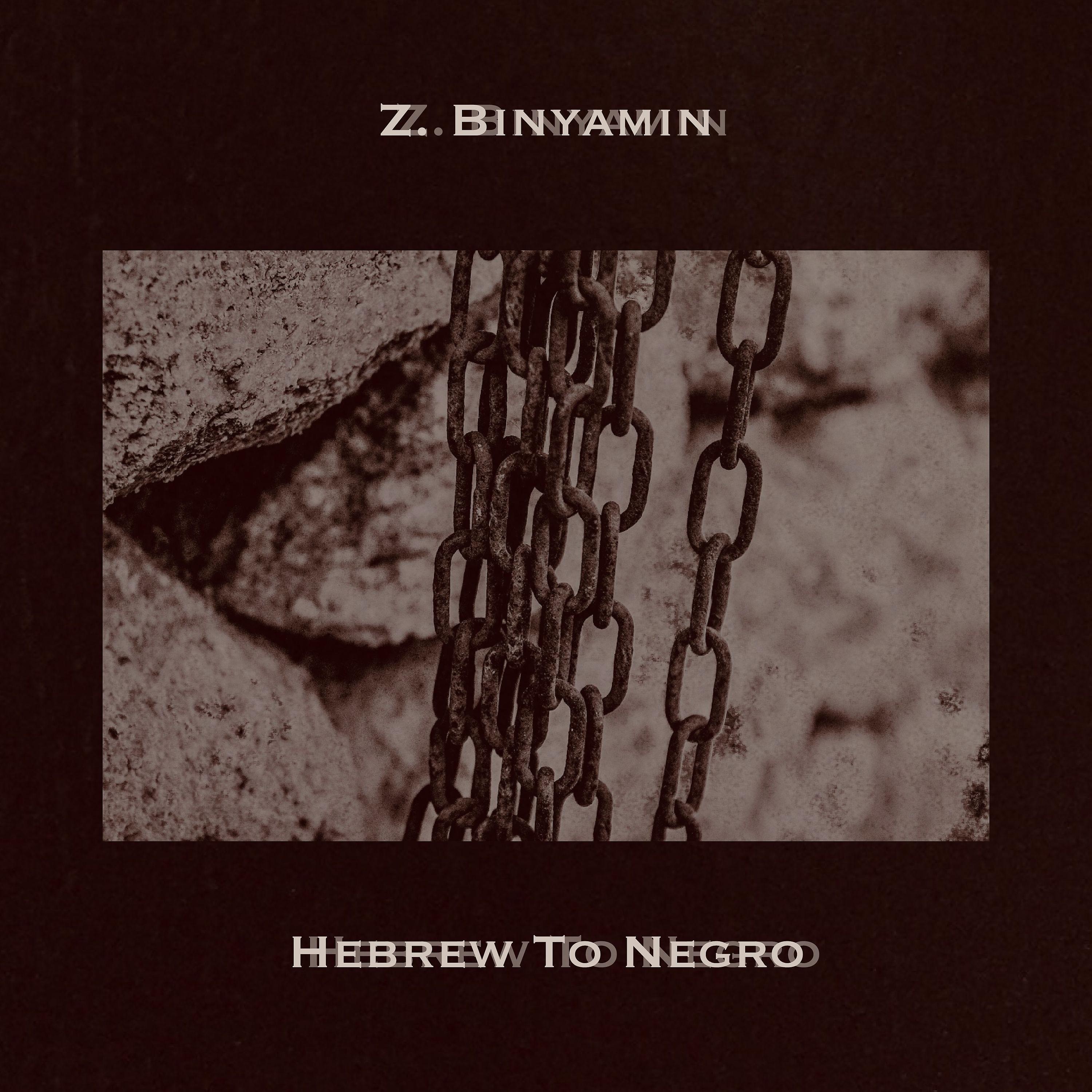 Постер альбома Hebrew To Negro