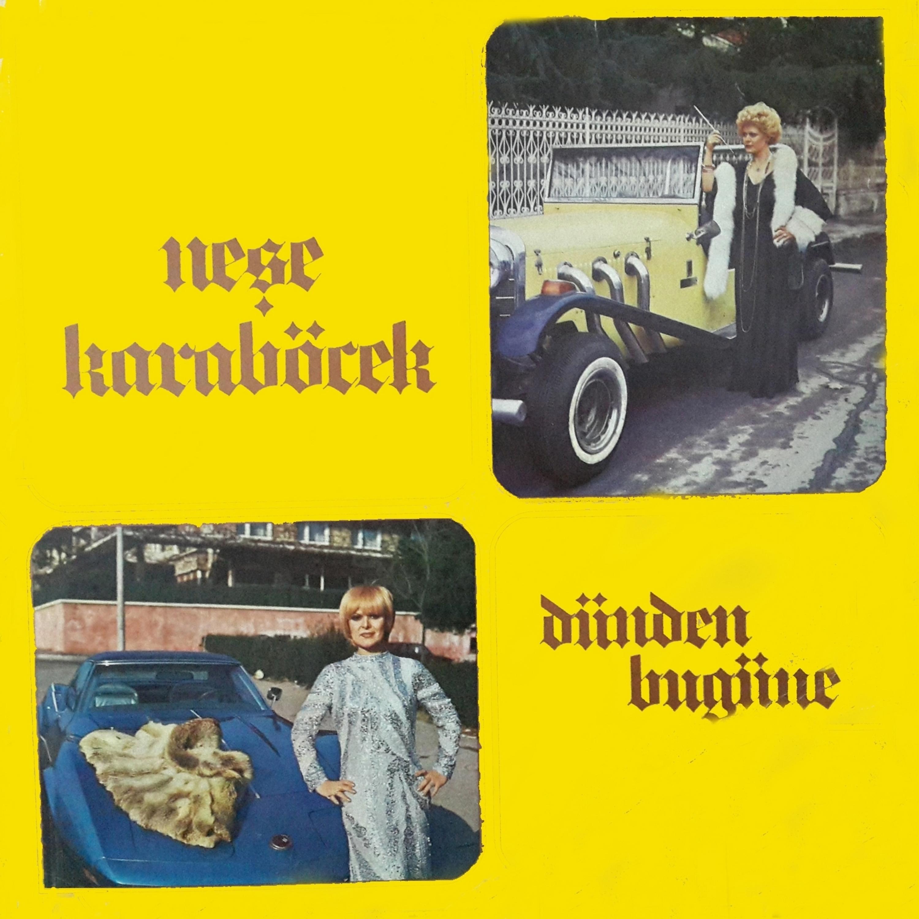 Постер альбома Dünden Bu Güne