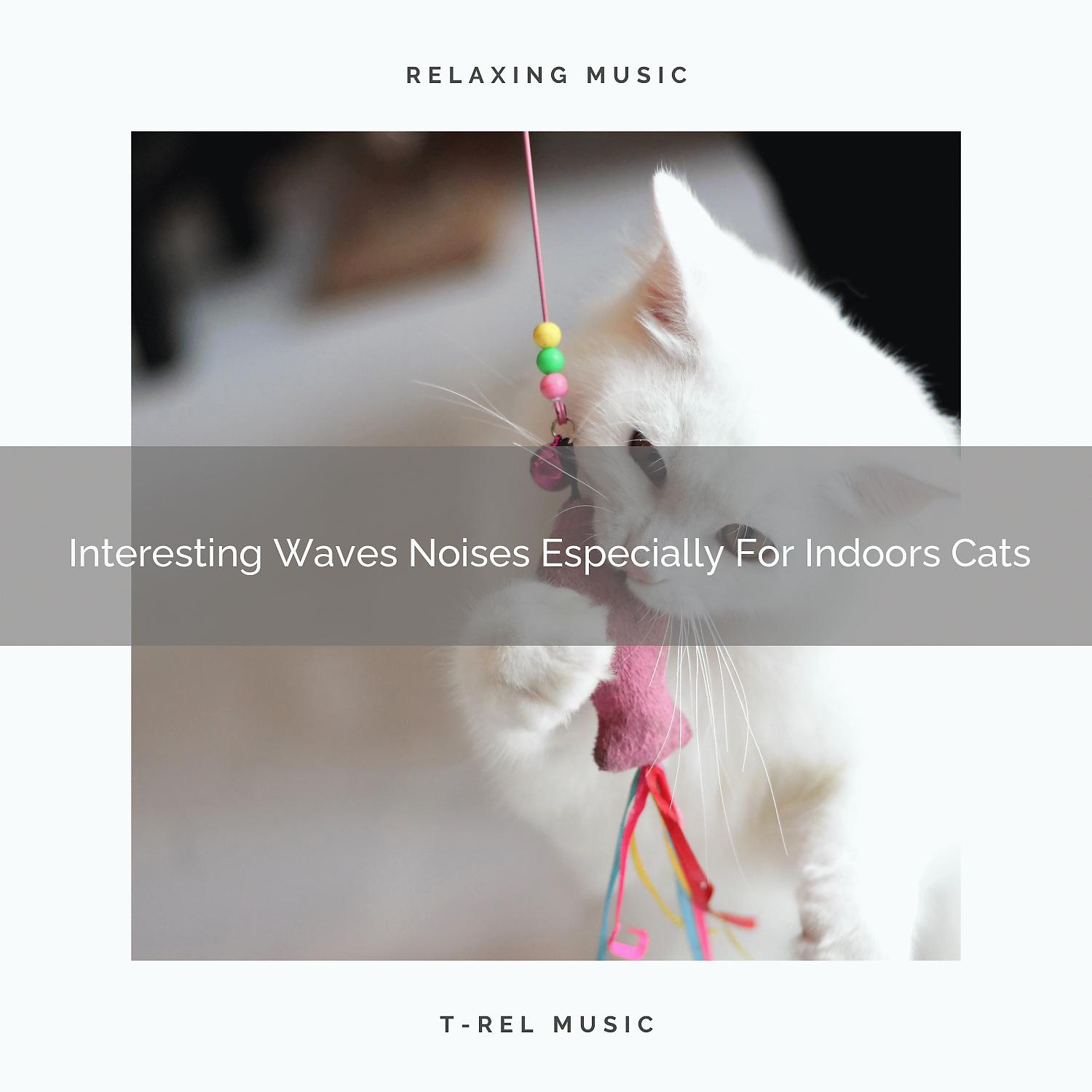 Постер альбома Interesting Waves Noises Especially For Indoors Cats
