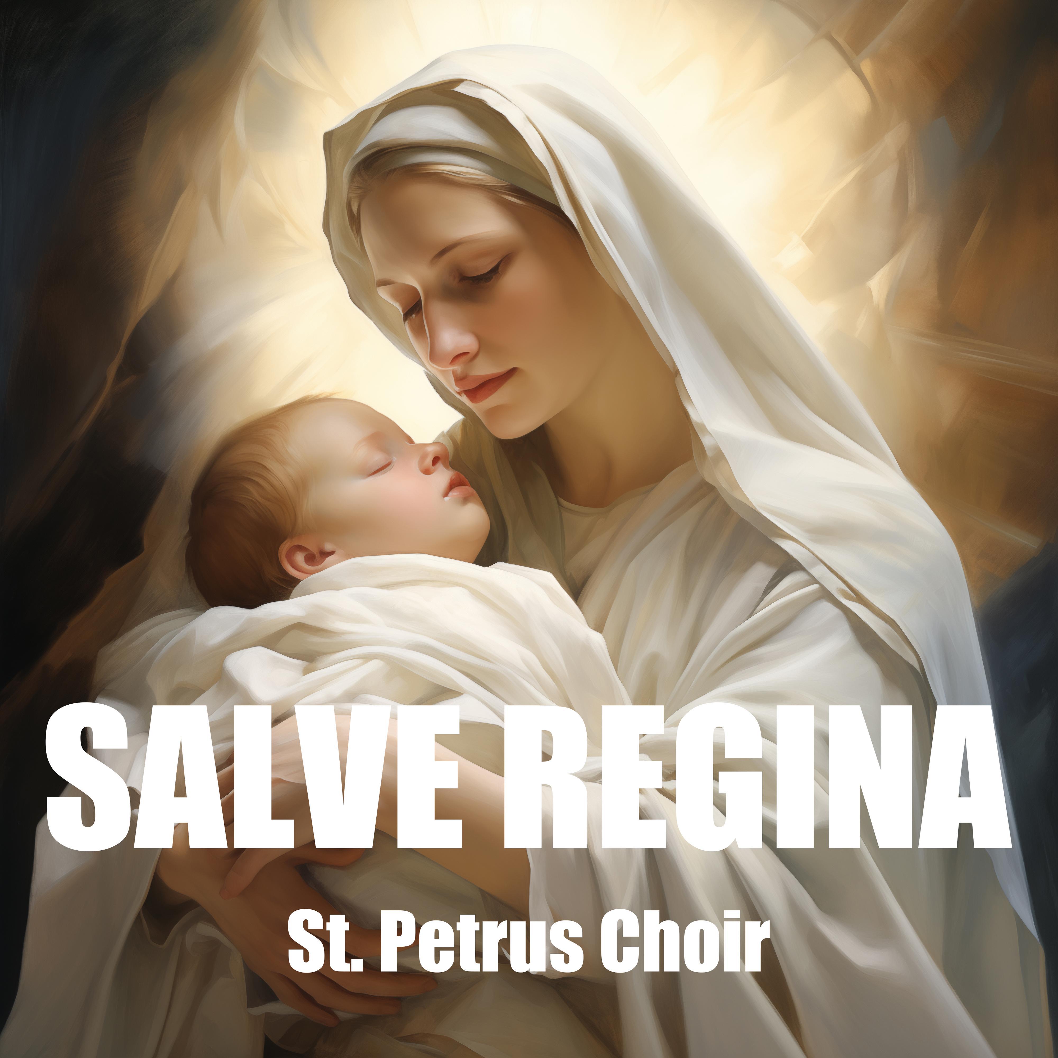 Постер альбома Salve Regina — Gregorian chant