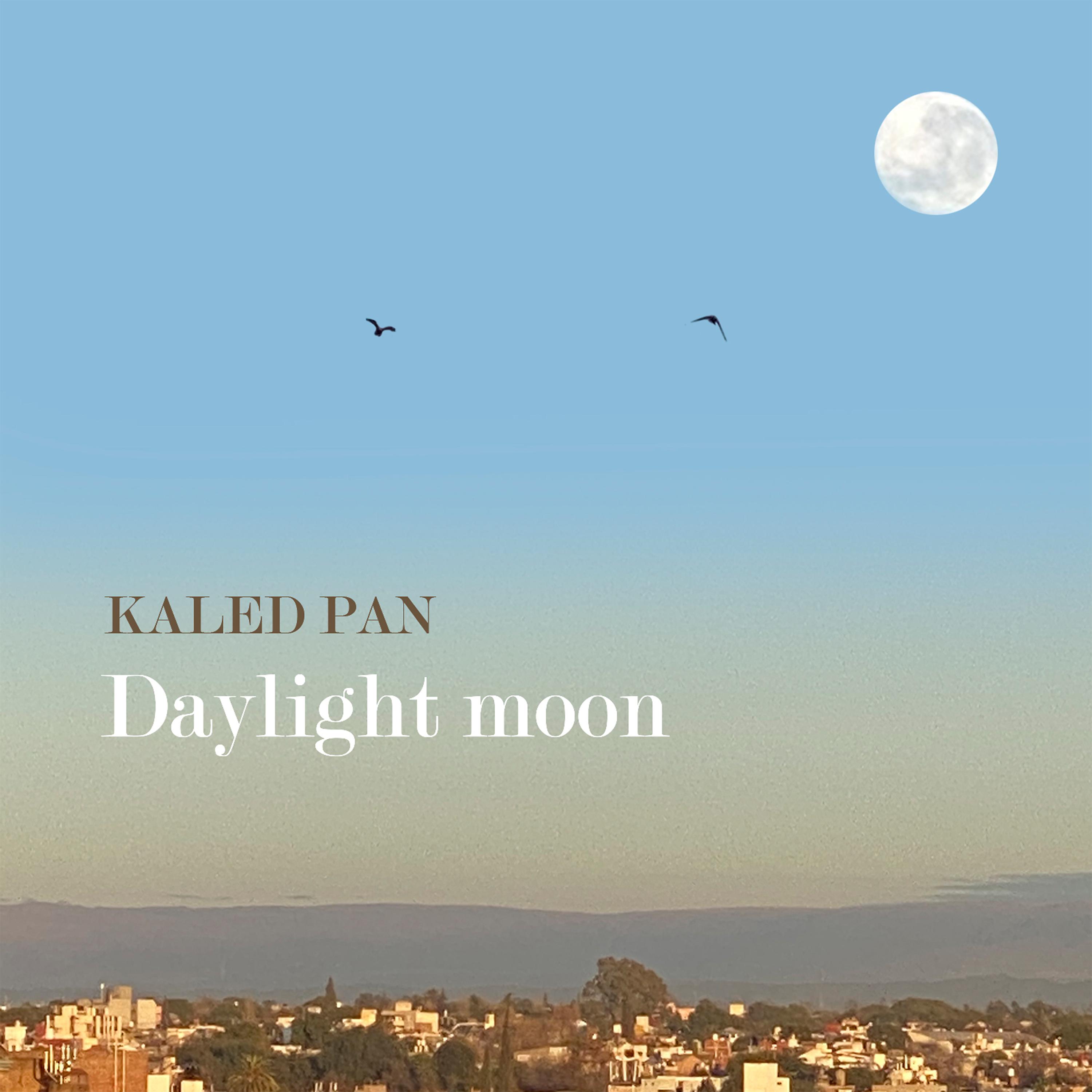 Постер альбома Daylight Moon