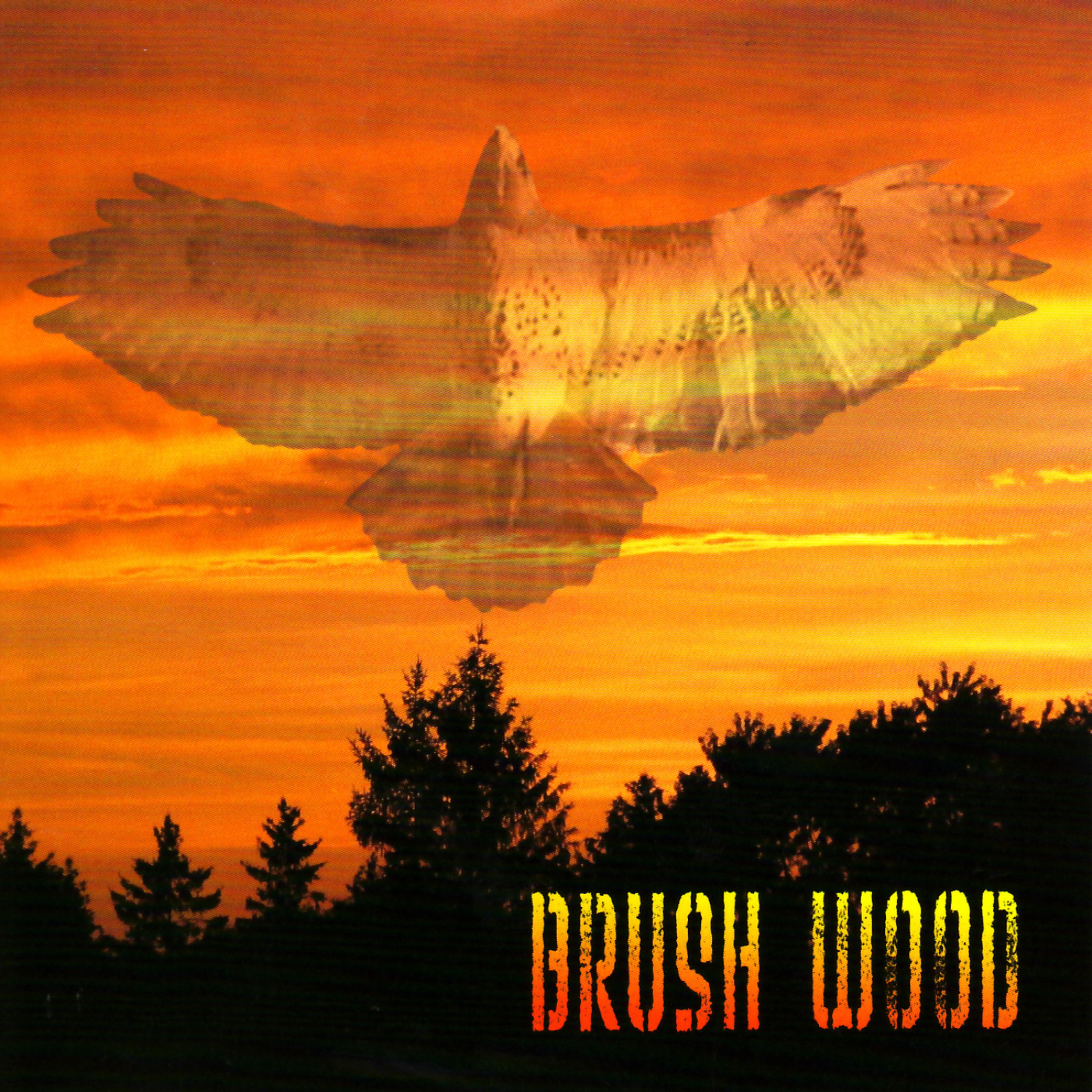 Постер альбома Brush Wood