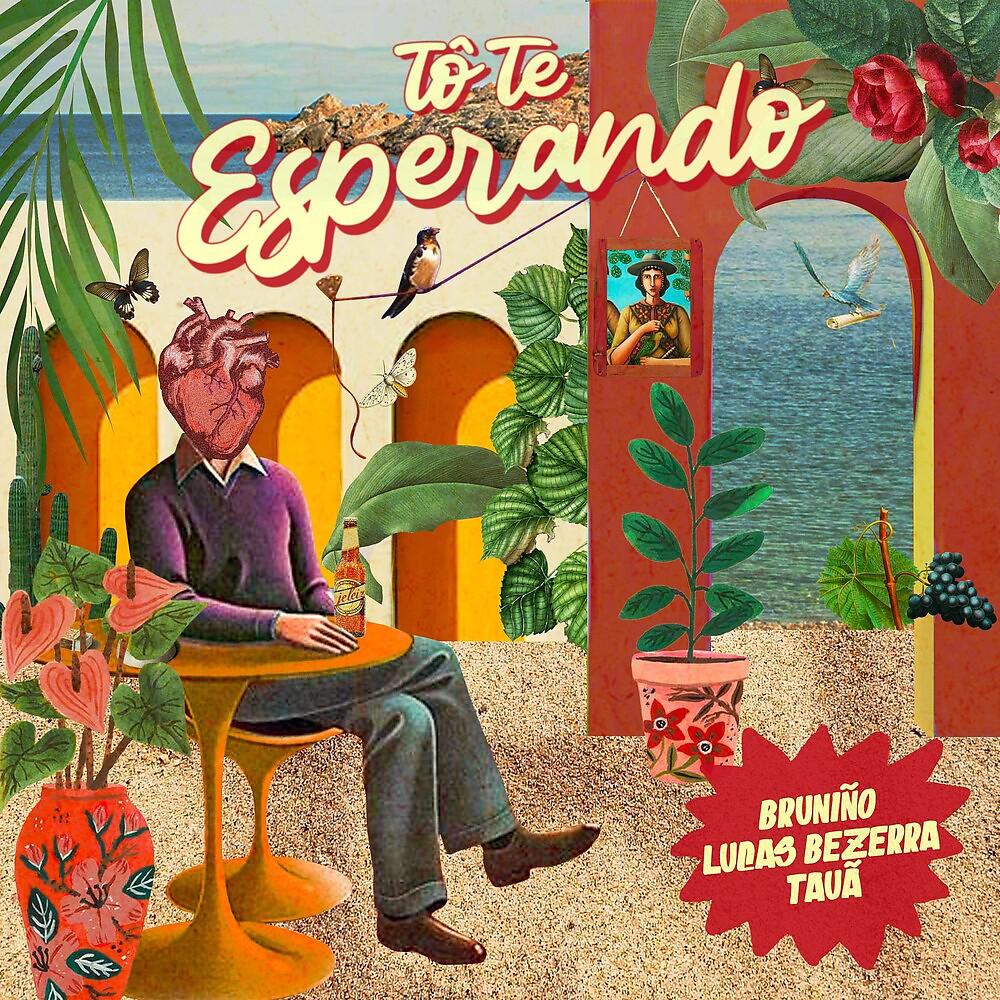 Постер альбома Tô Te Esperando