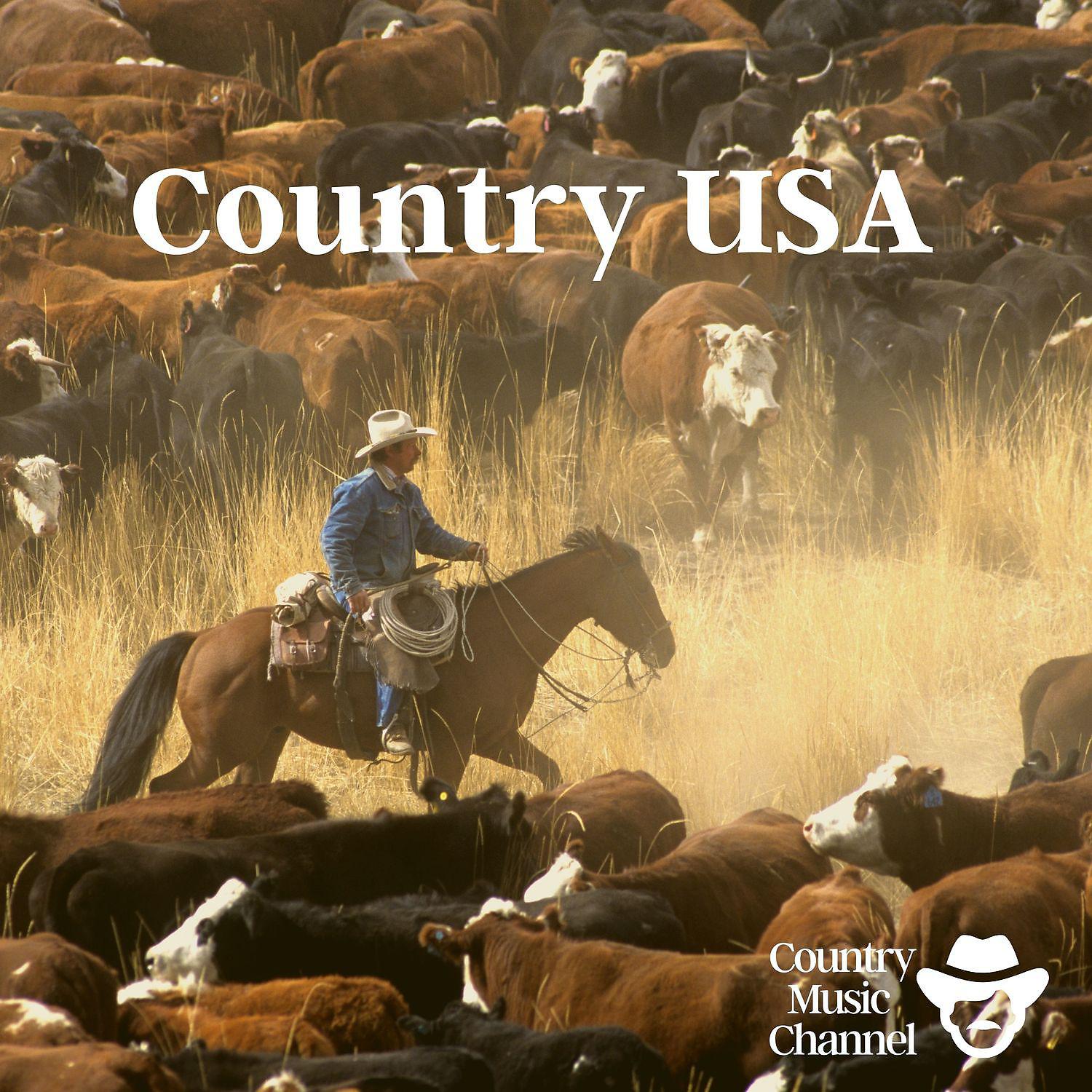 Постер альбома Country USA (Wild Western Country, American Music)