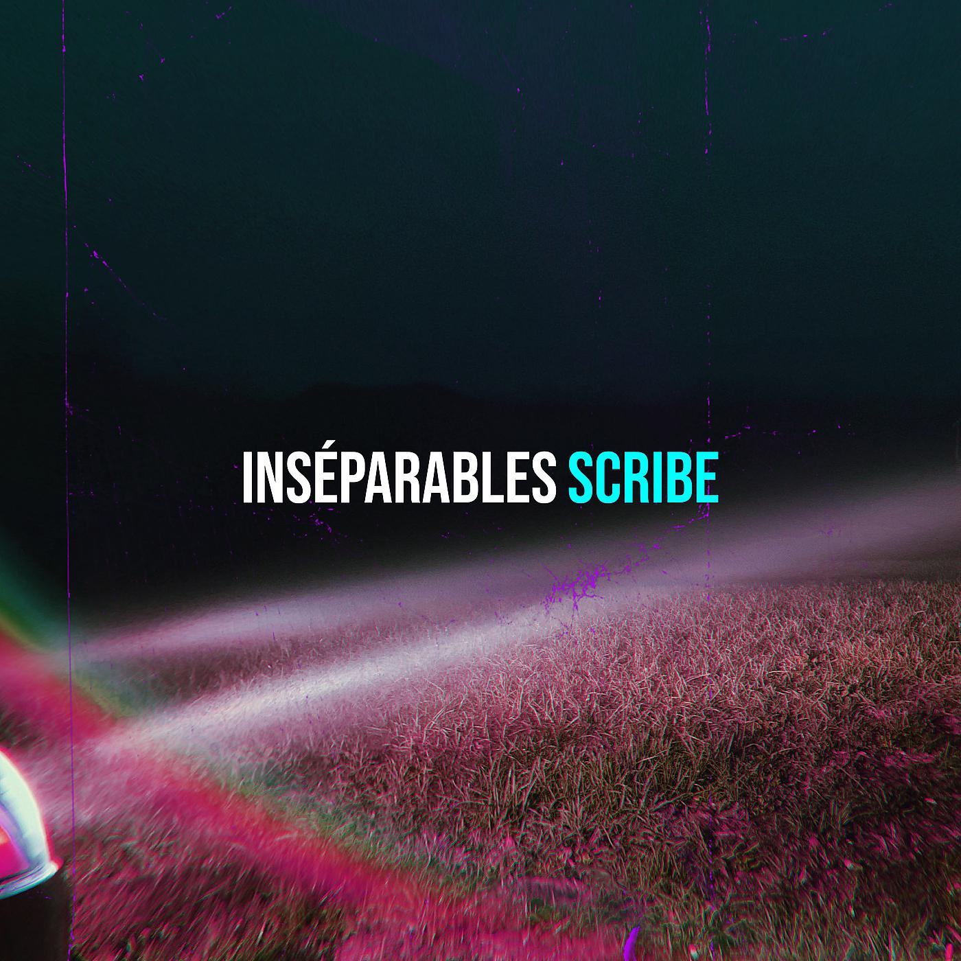 Постер альбома Inséparables