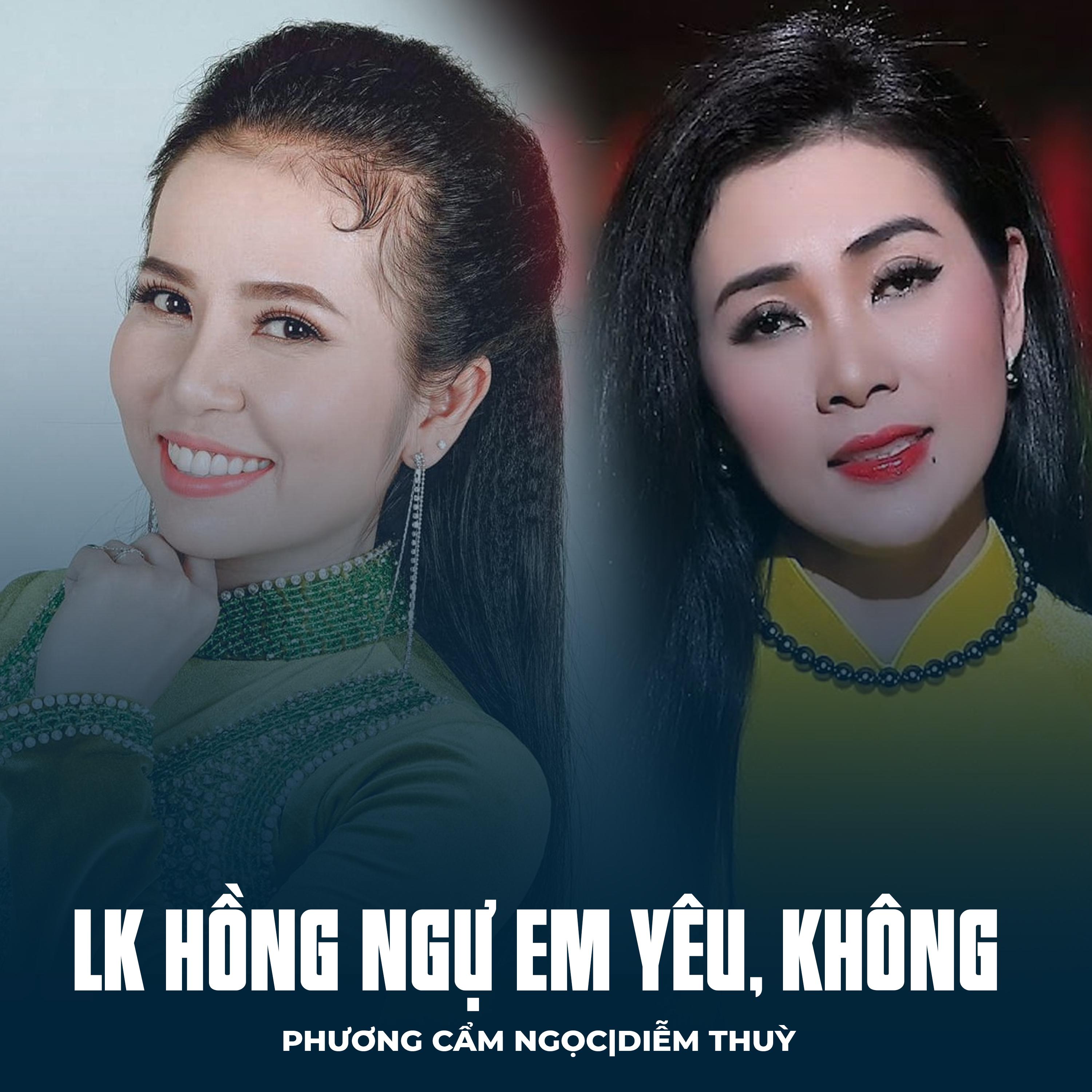 Постер альбома LK Hồng Ngự Em Yêu, Không