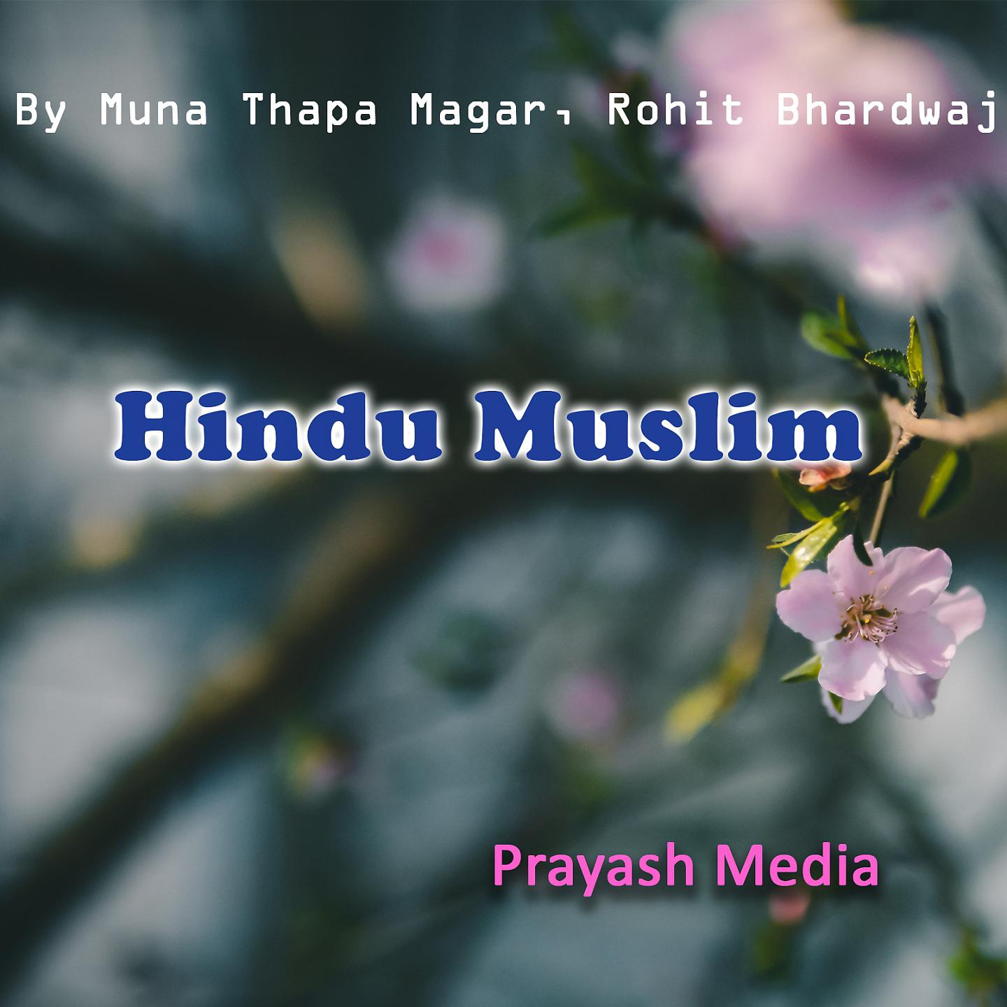 Постер альбома Hindu Muslim