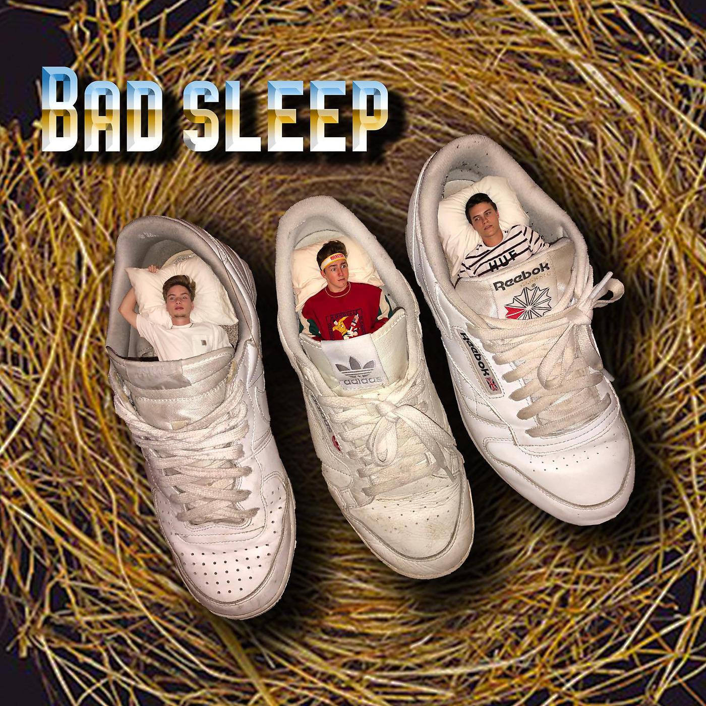 Постер альбома Bad Sleep
