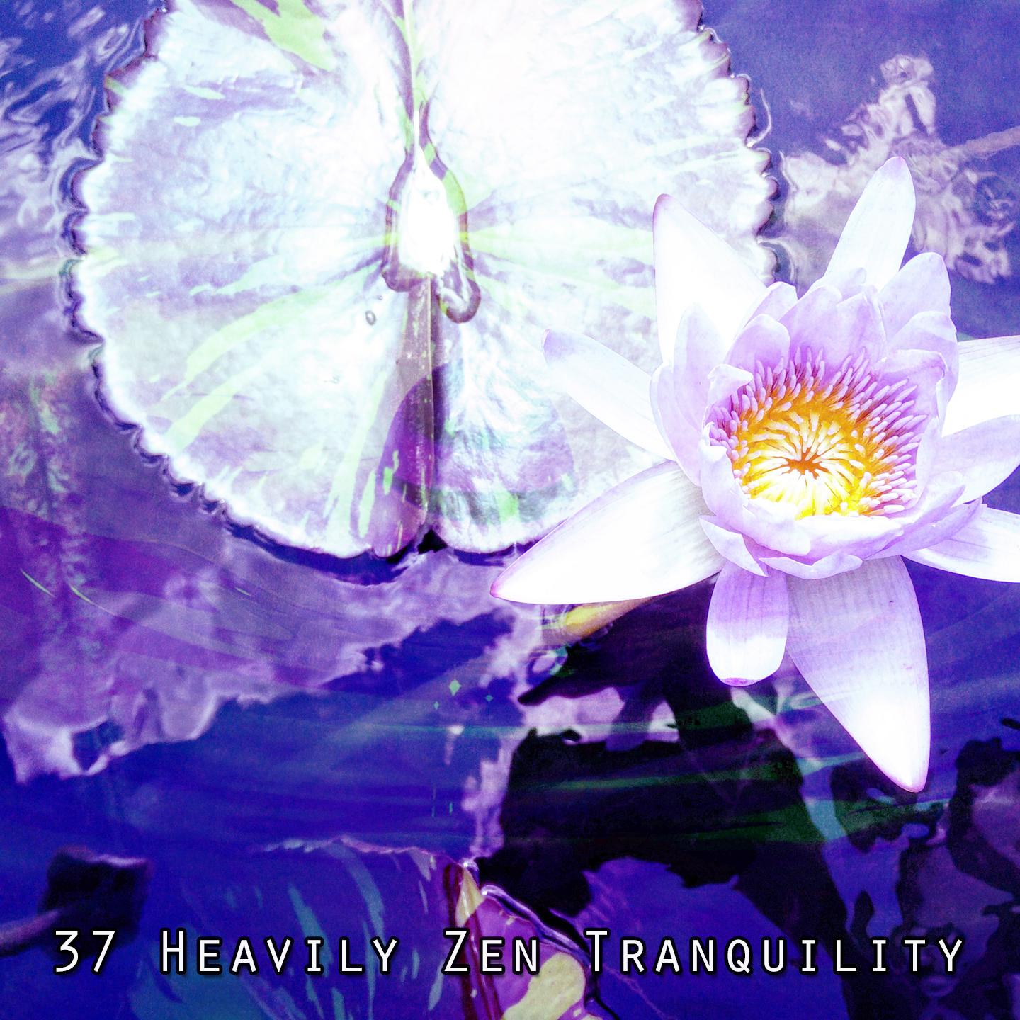 Постер альбома 37 Heavily Zen Tranquility