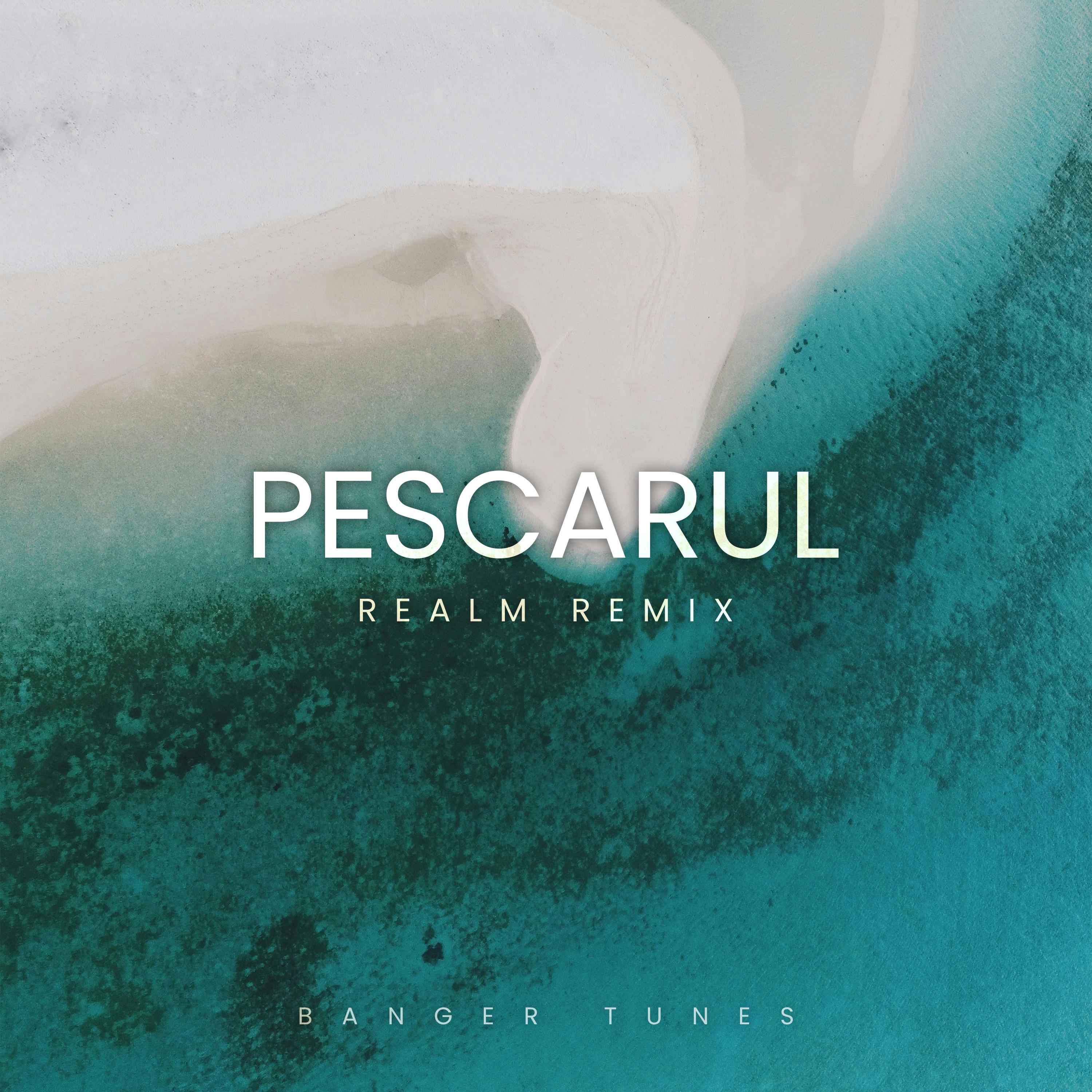 Постер альбома Pescarul