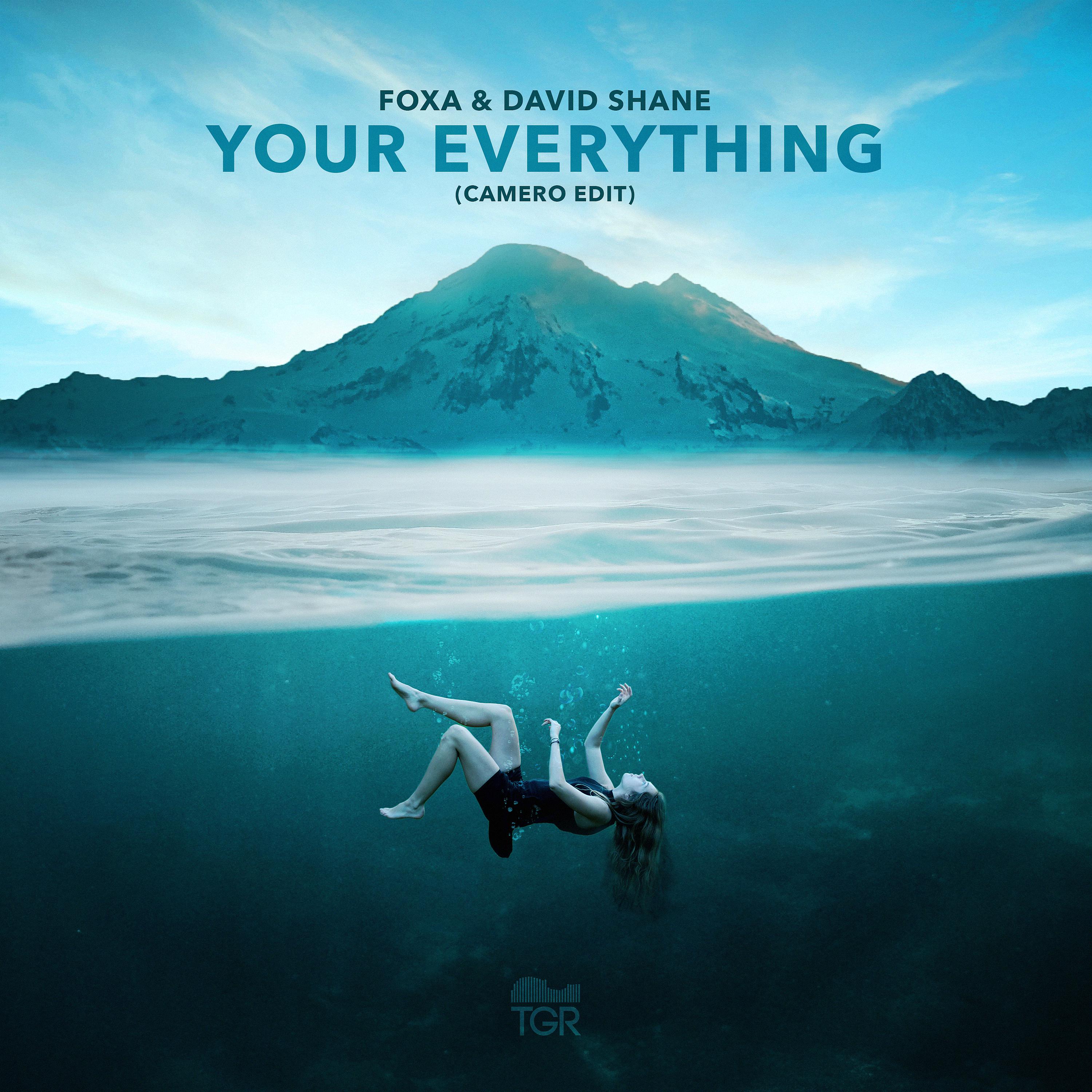 Постер альбома Your Everything (Camero Edit)