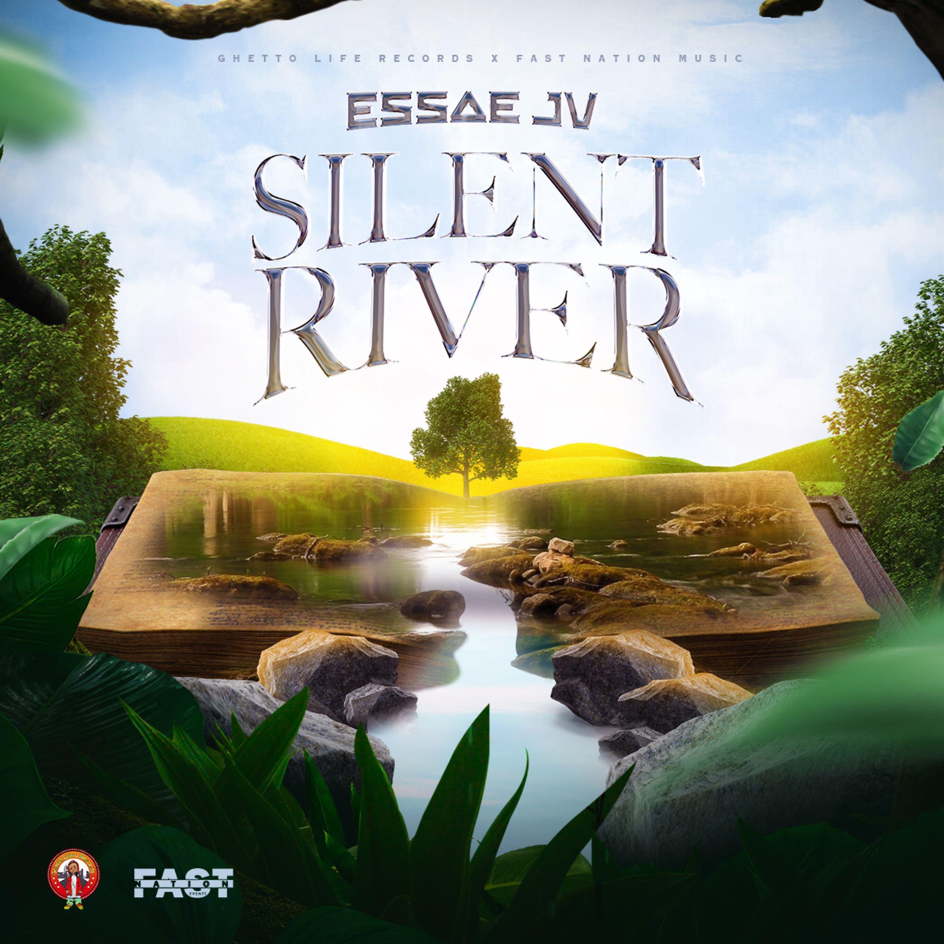Постер альбома Silent River