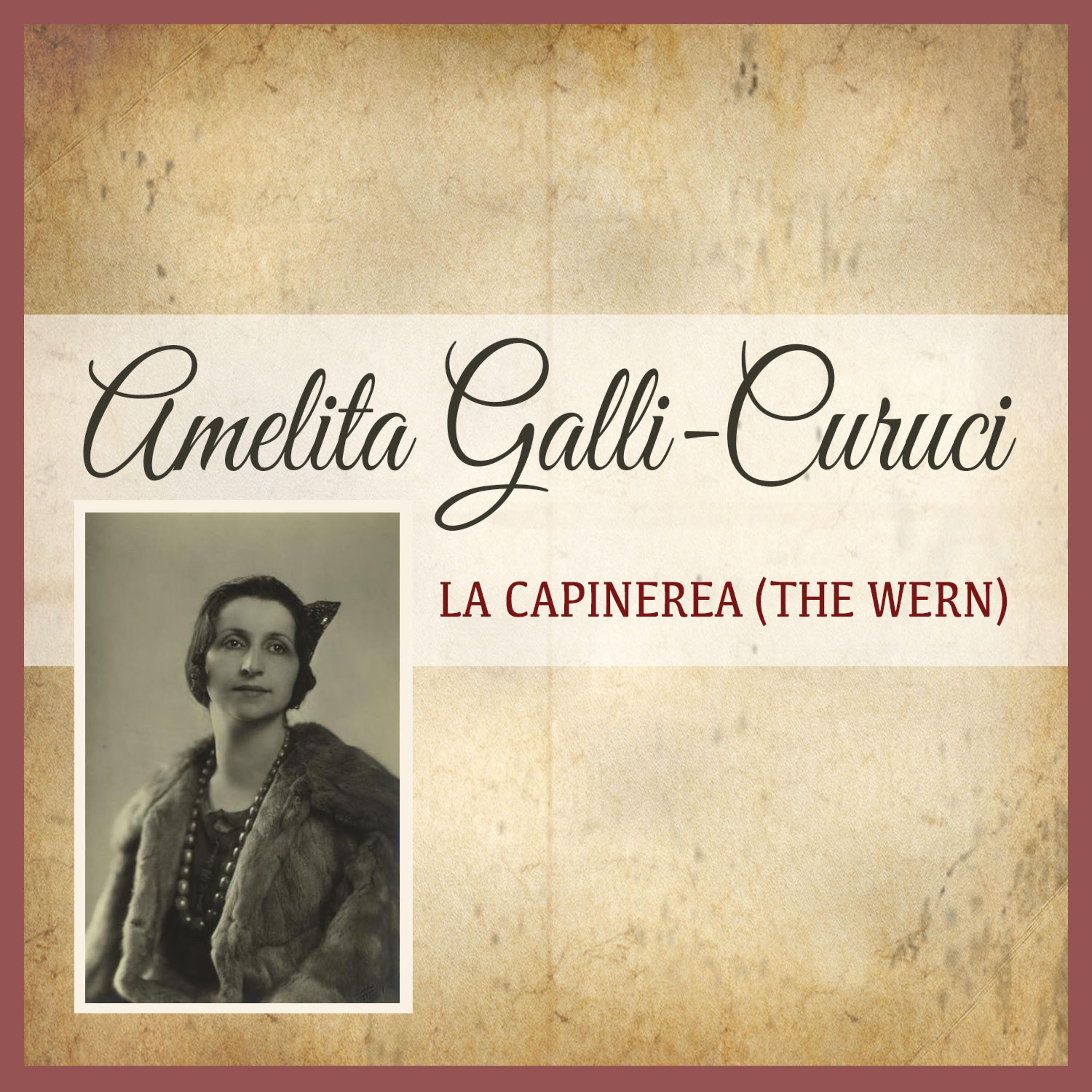 Постер альбома La Capinerea (The Wern)