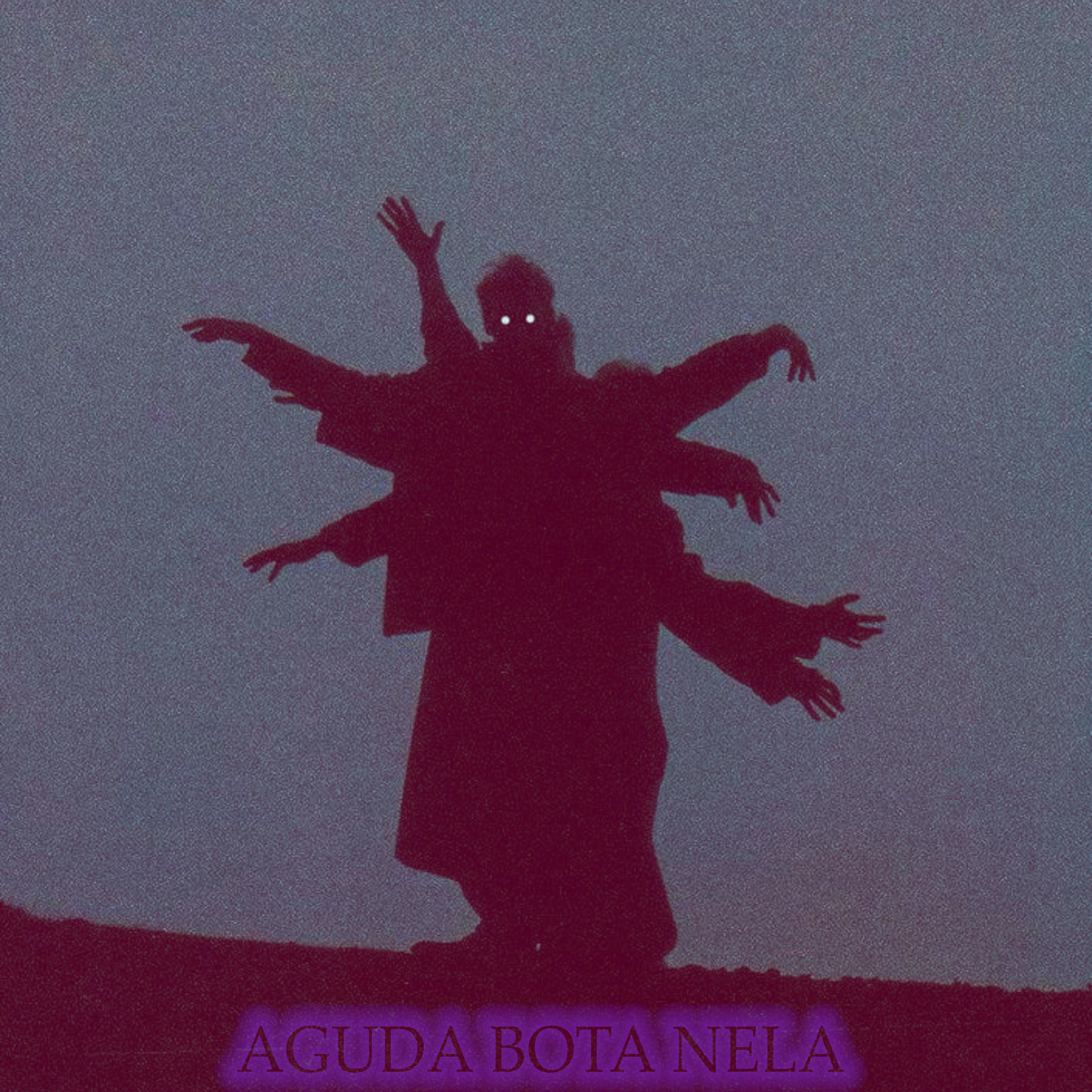 Постер альбома Aguda Bota Nela