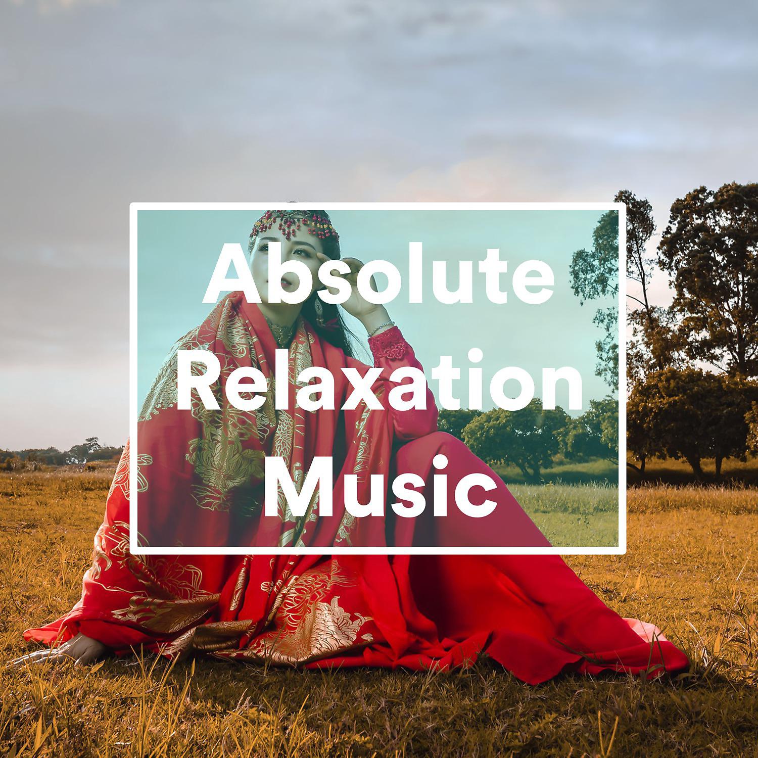 Постер альбома Absolute Relaxation Music