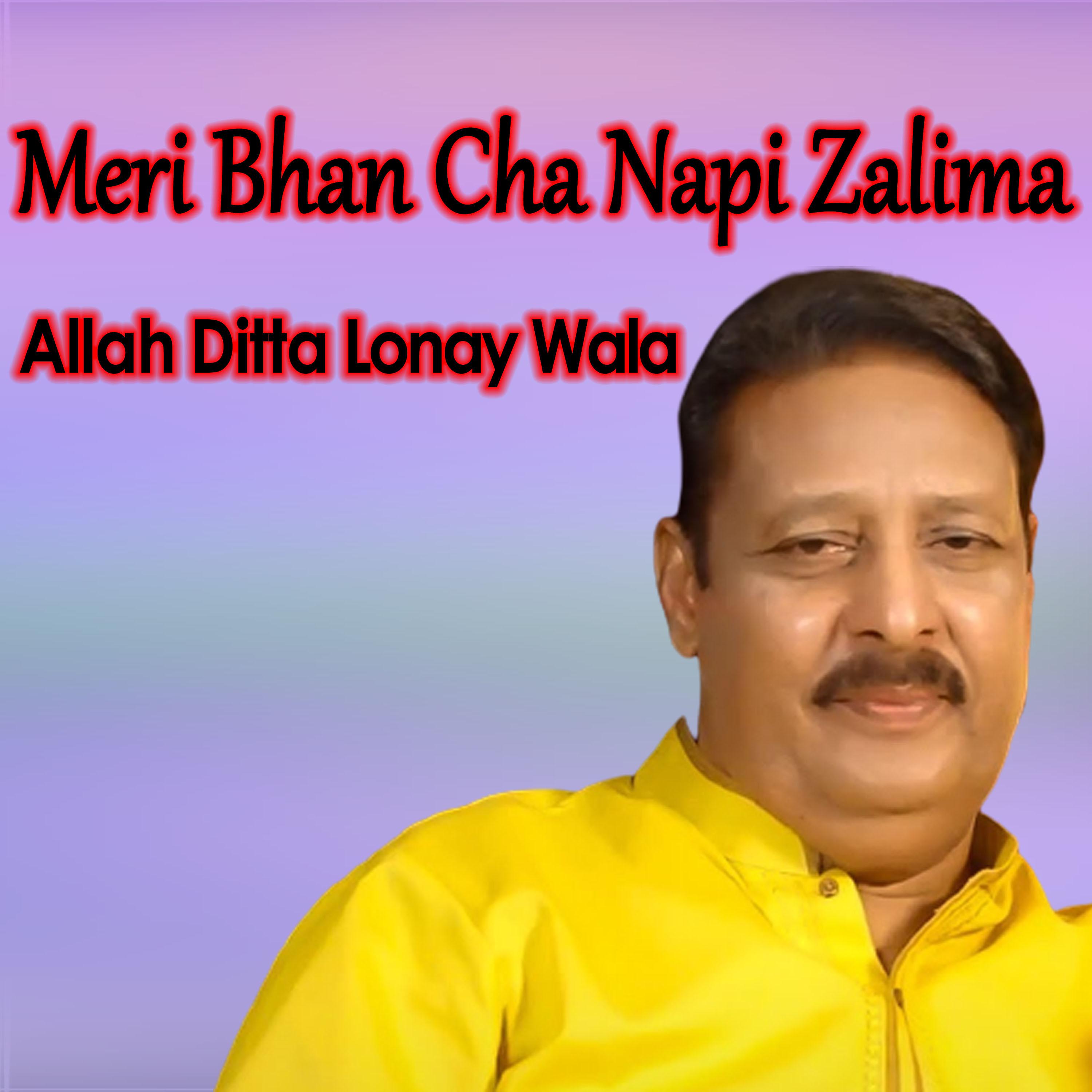 Постер альбома Meri Bhan Cha Napi Zalima