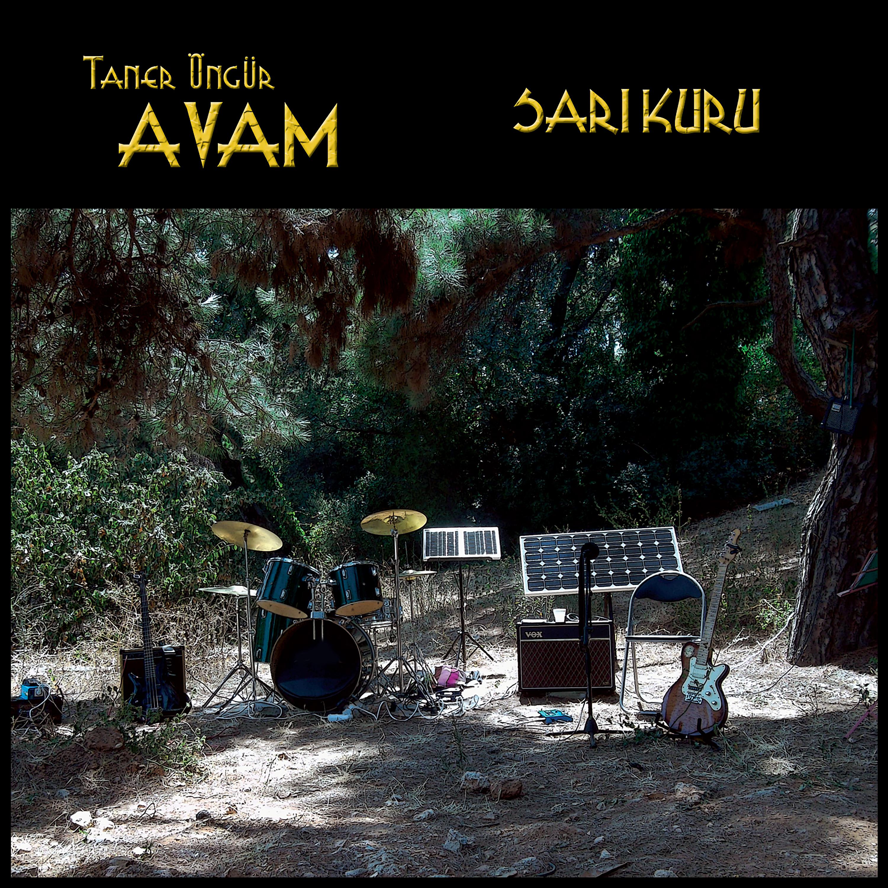 Постер альбома Sarı Kuru (Remastered)