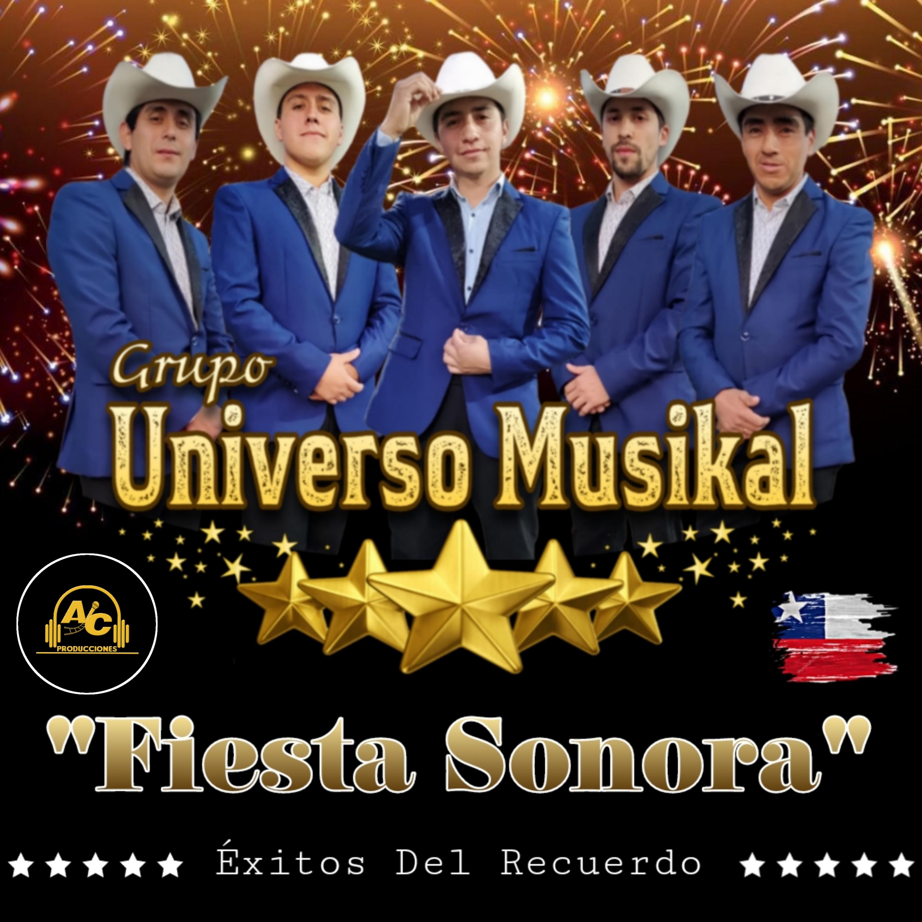 Постер альбома Fiesta Sonora