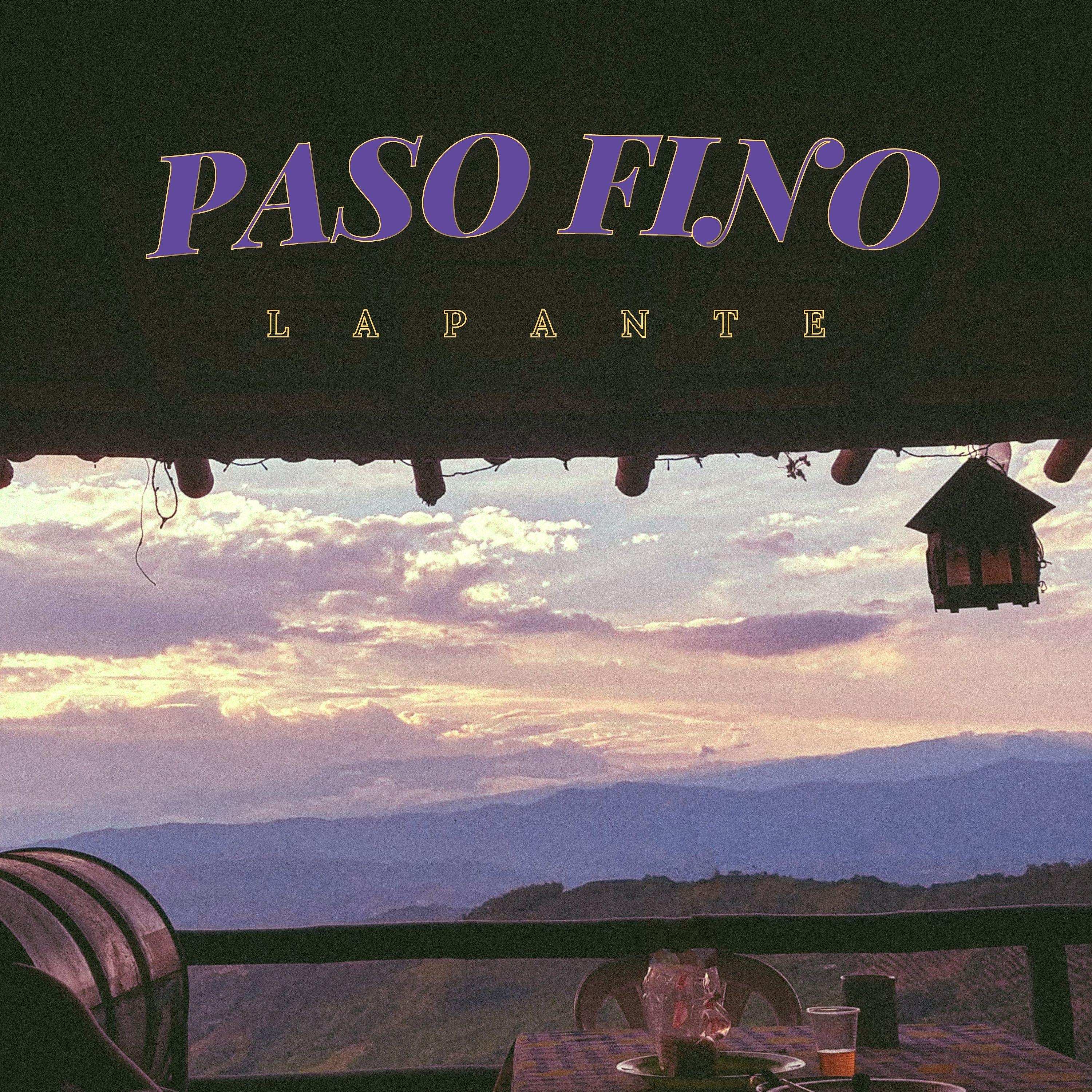 Постер альбома Paso Fino