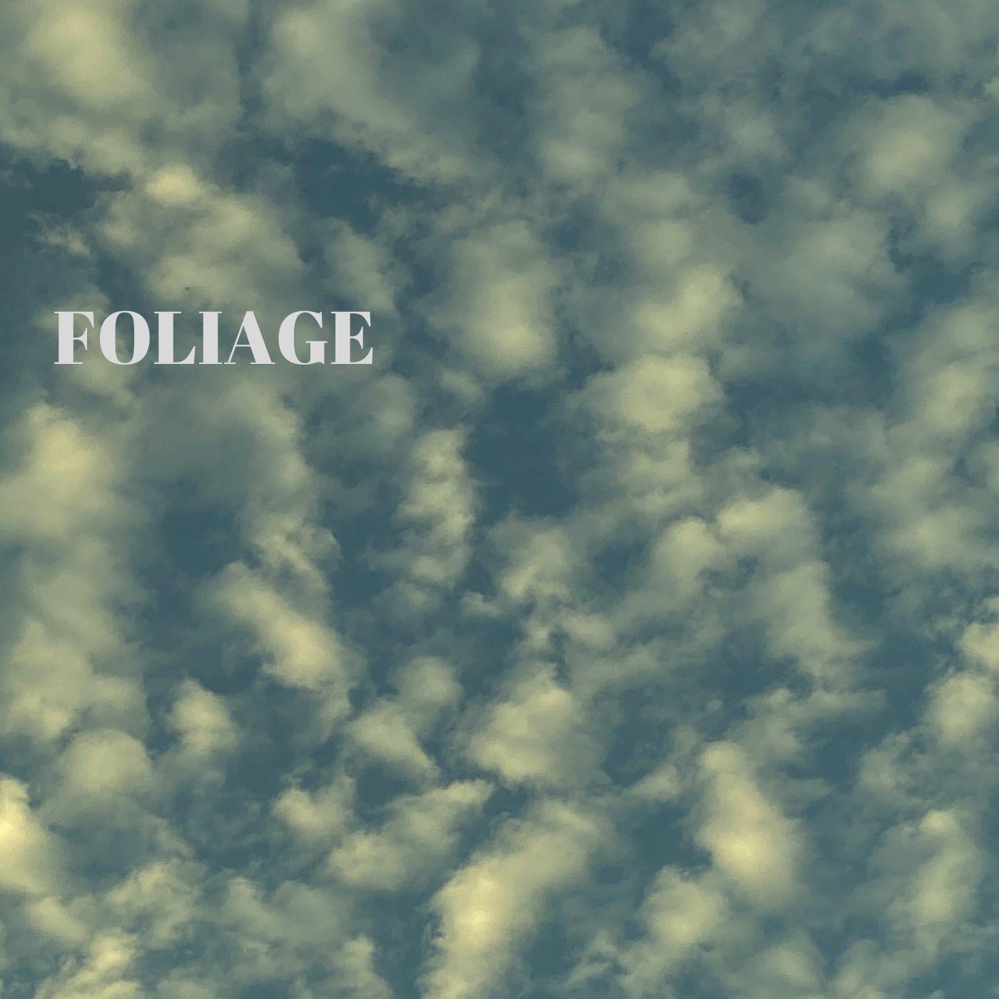 Постер альбома Foliage