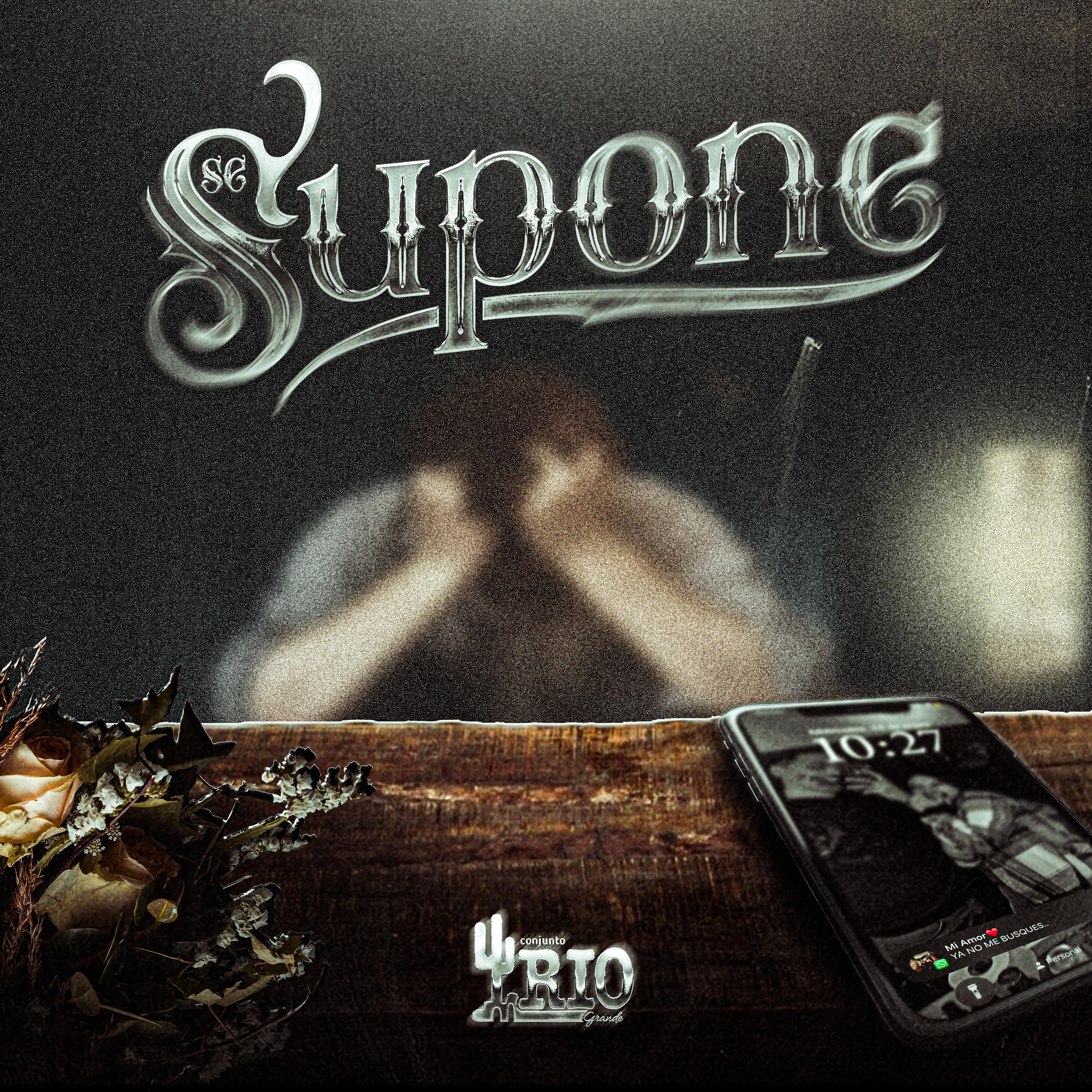 Постер альбома Se Supone