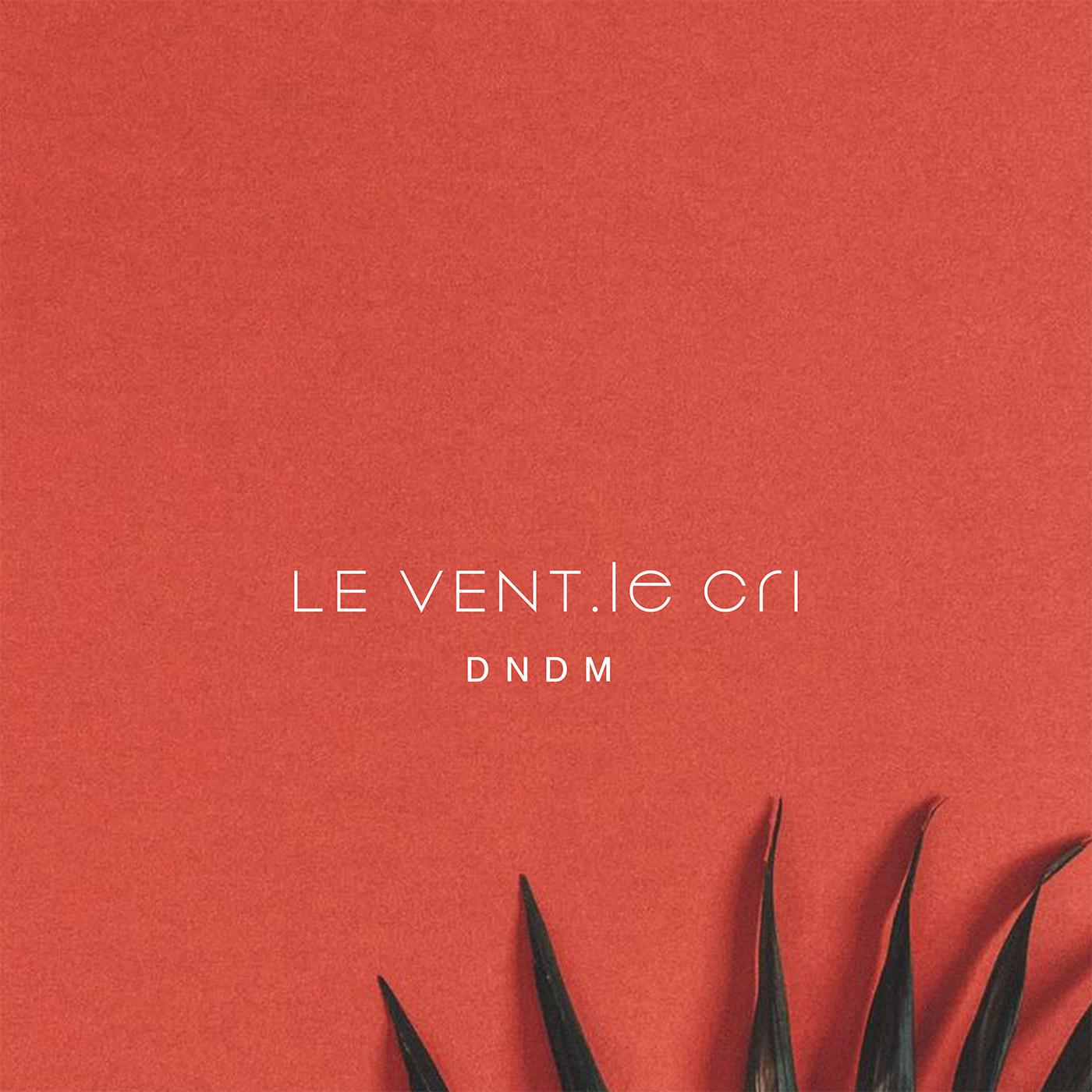 Постер альбома Le Vent, le cri
