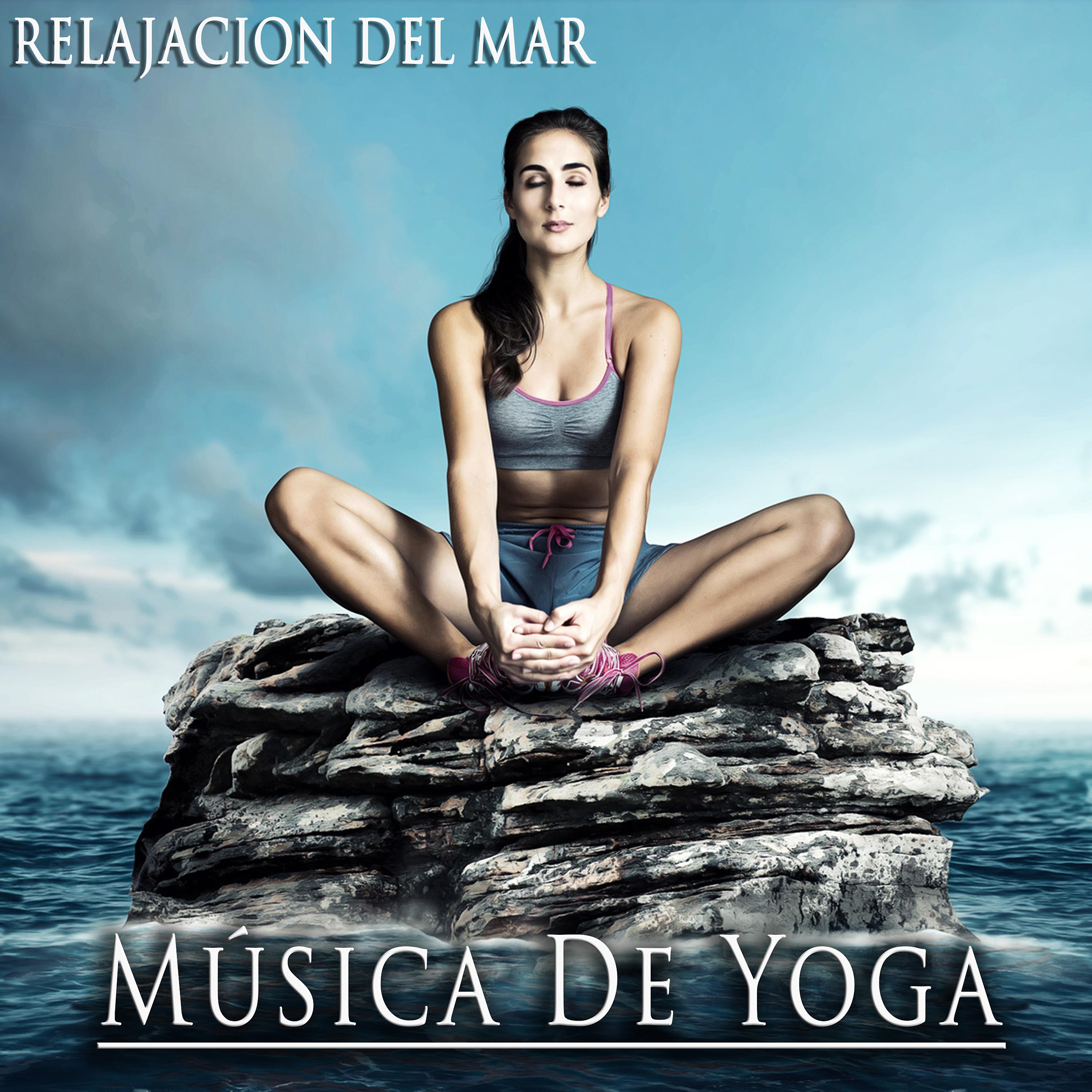 Постер альбома Música De Yoga
