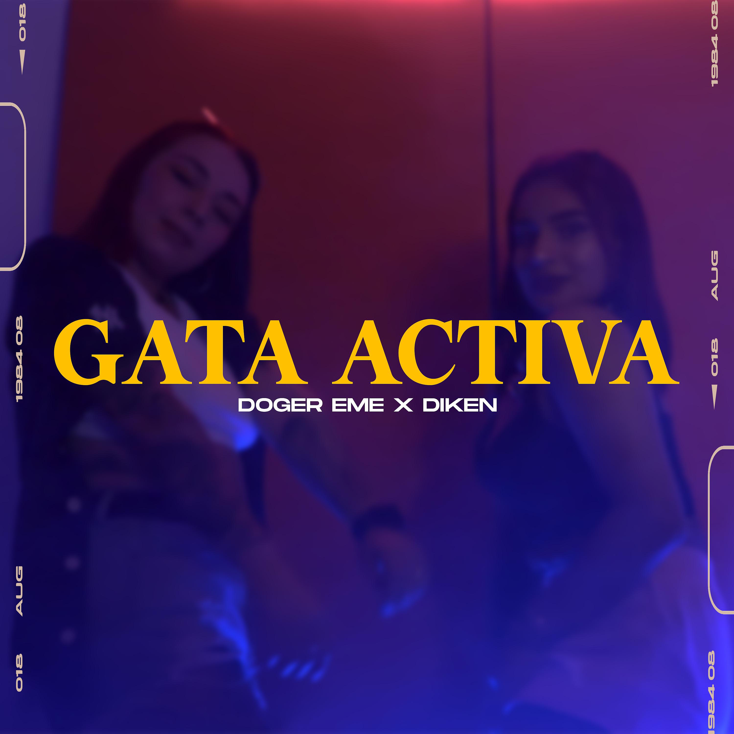 Постер альбома Gata Activa