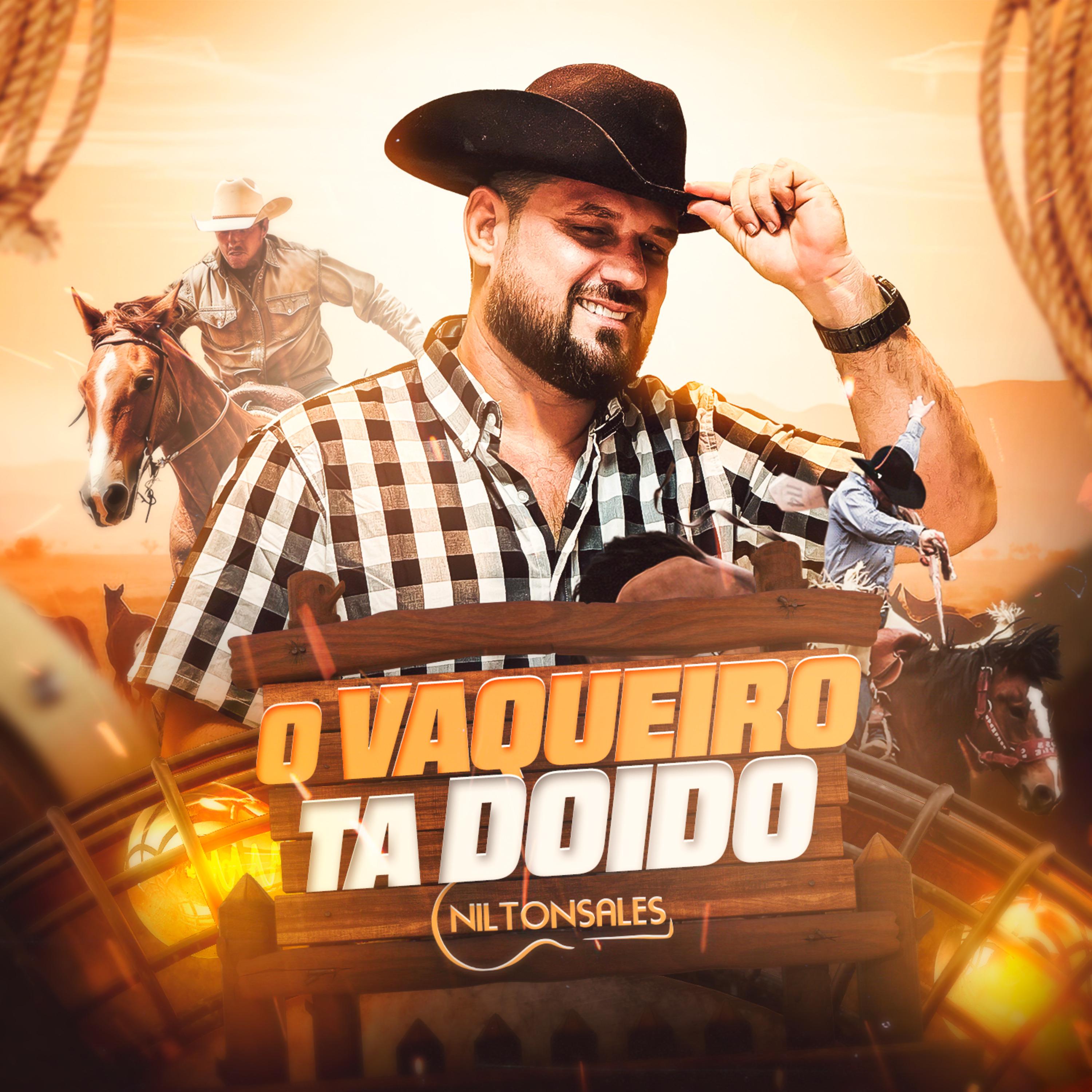Постер альбома O Vaqueiro Ta Doido