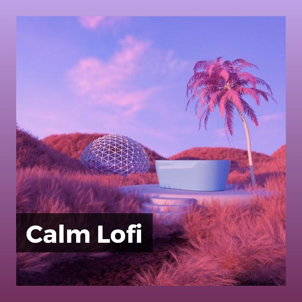 Постер альбома Calm Lofi