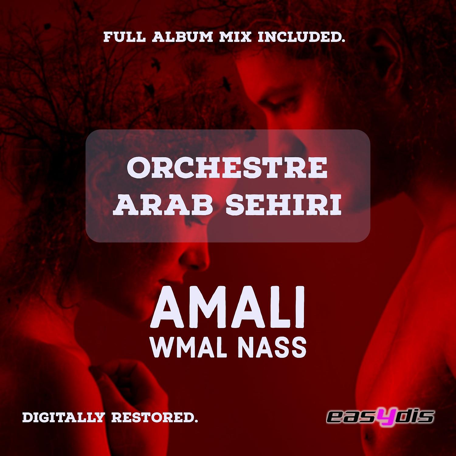 Постер альбома Amali wmal nass
