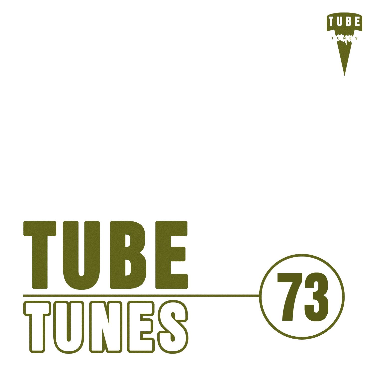 Постер альбома Tube Tunes, Vol. 73