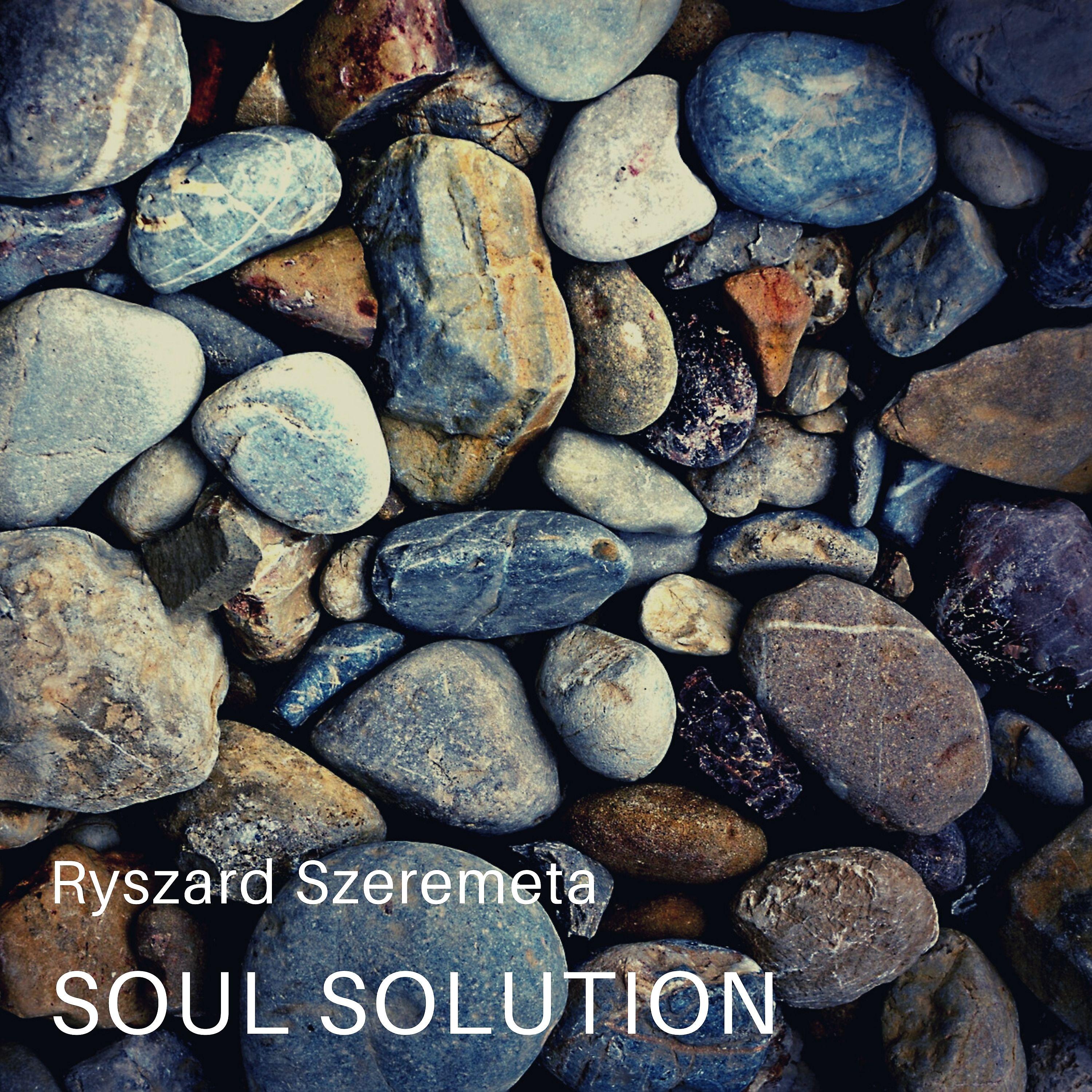 Постер альбома Soul Solution