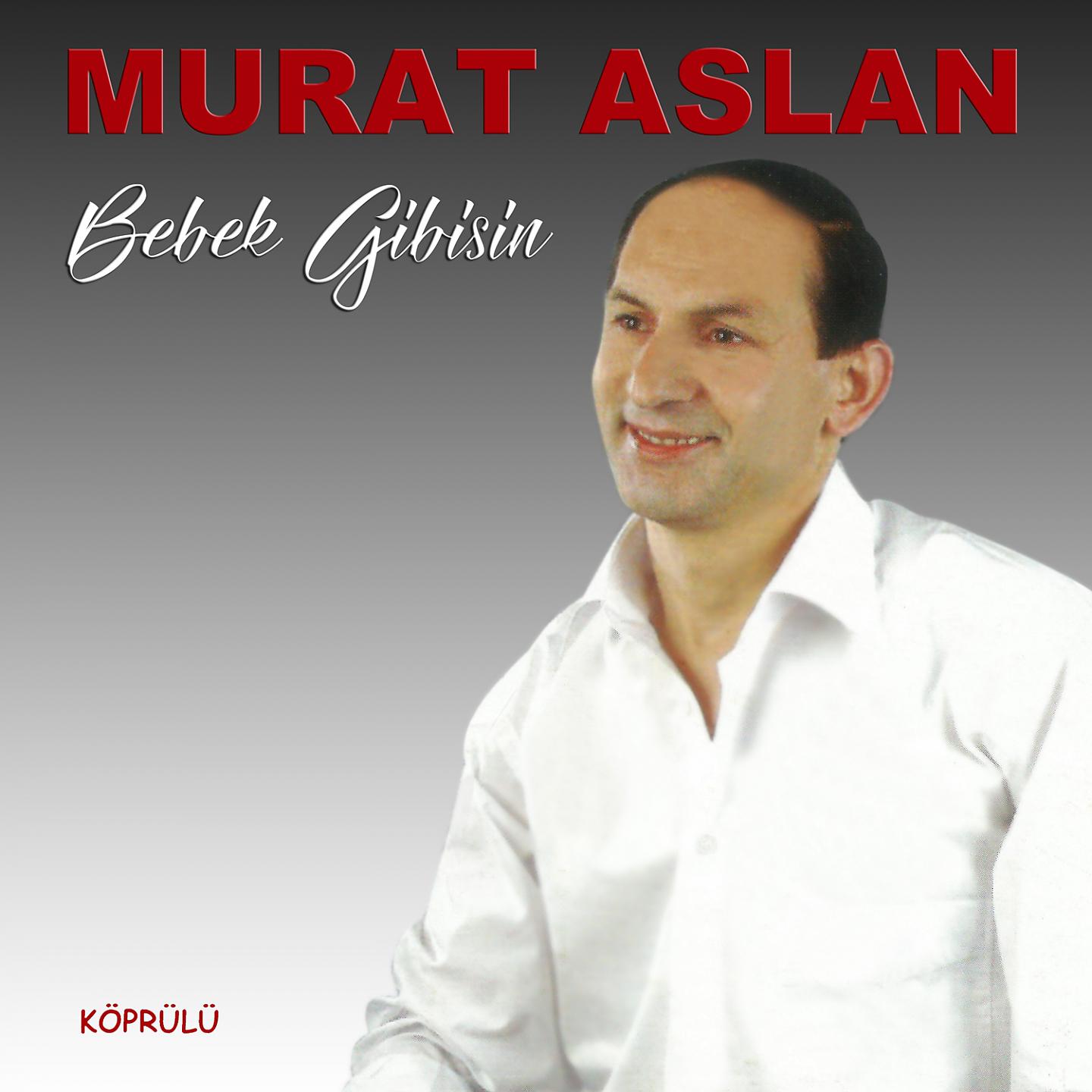 Постер альбома Bebek Gibisin