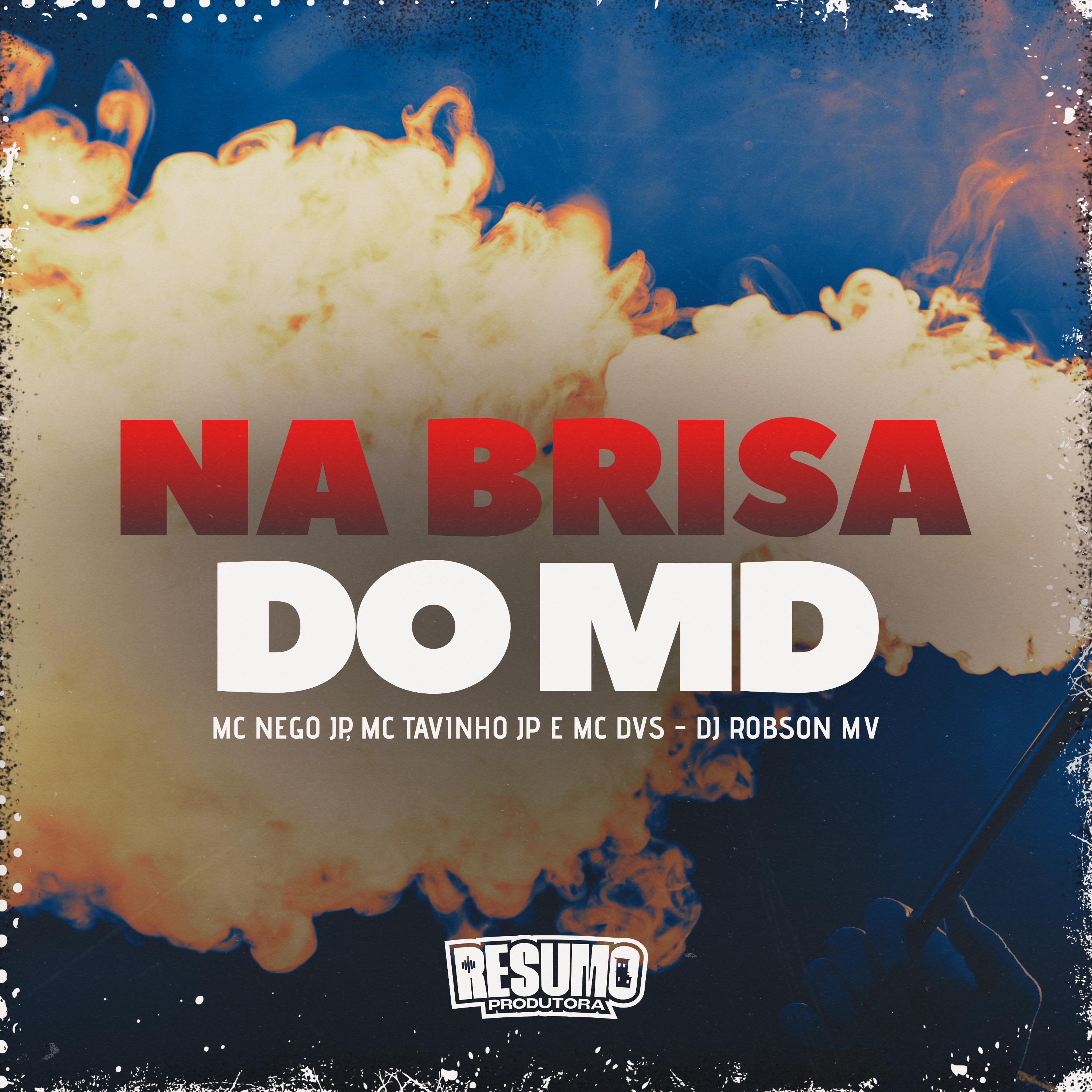 Постер альбома Na Brisa do Md