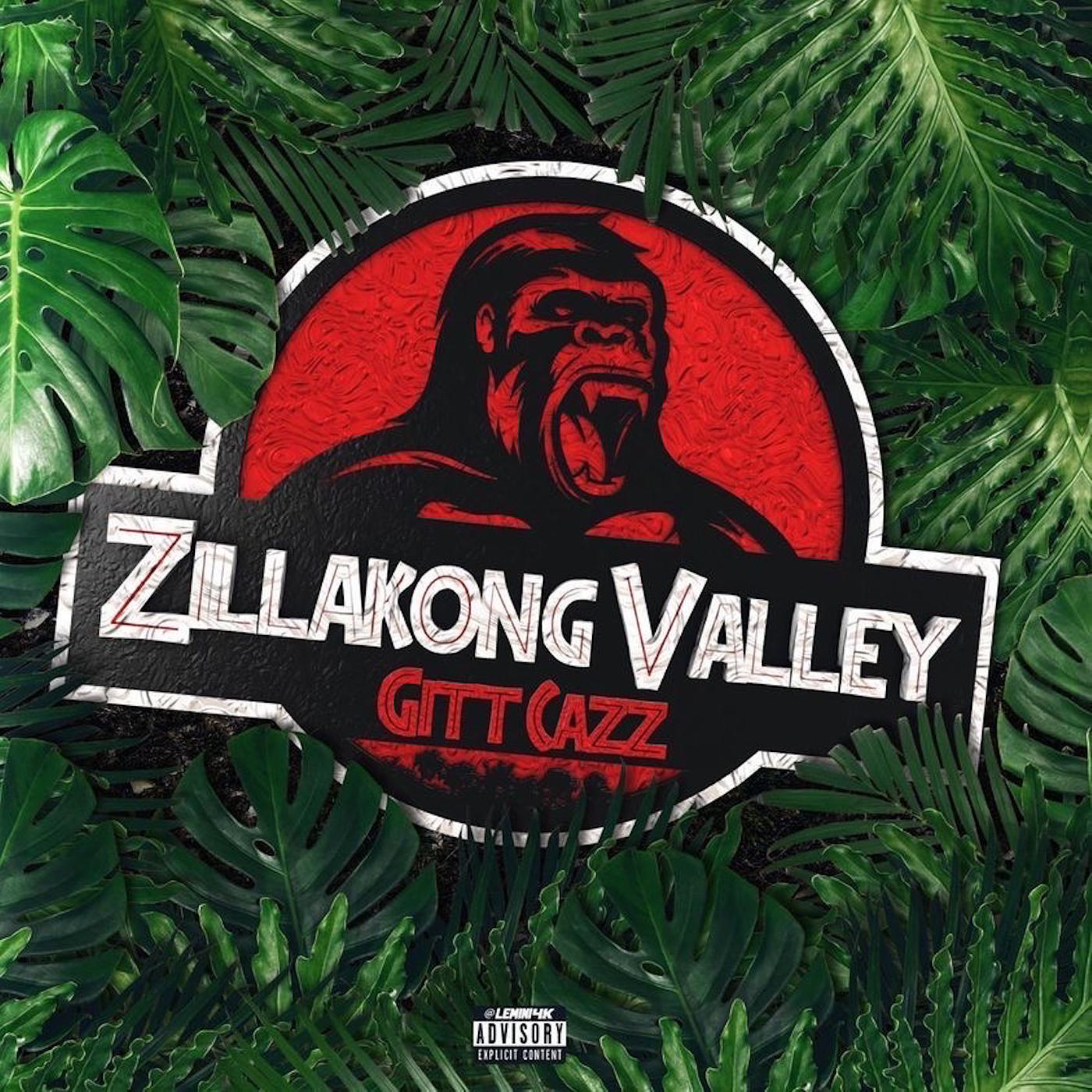 Постер альбома Zillakong Valley