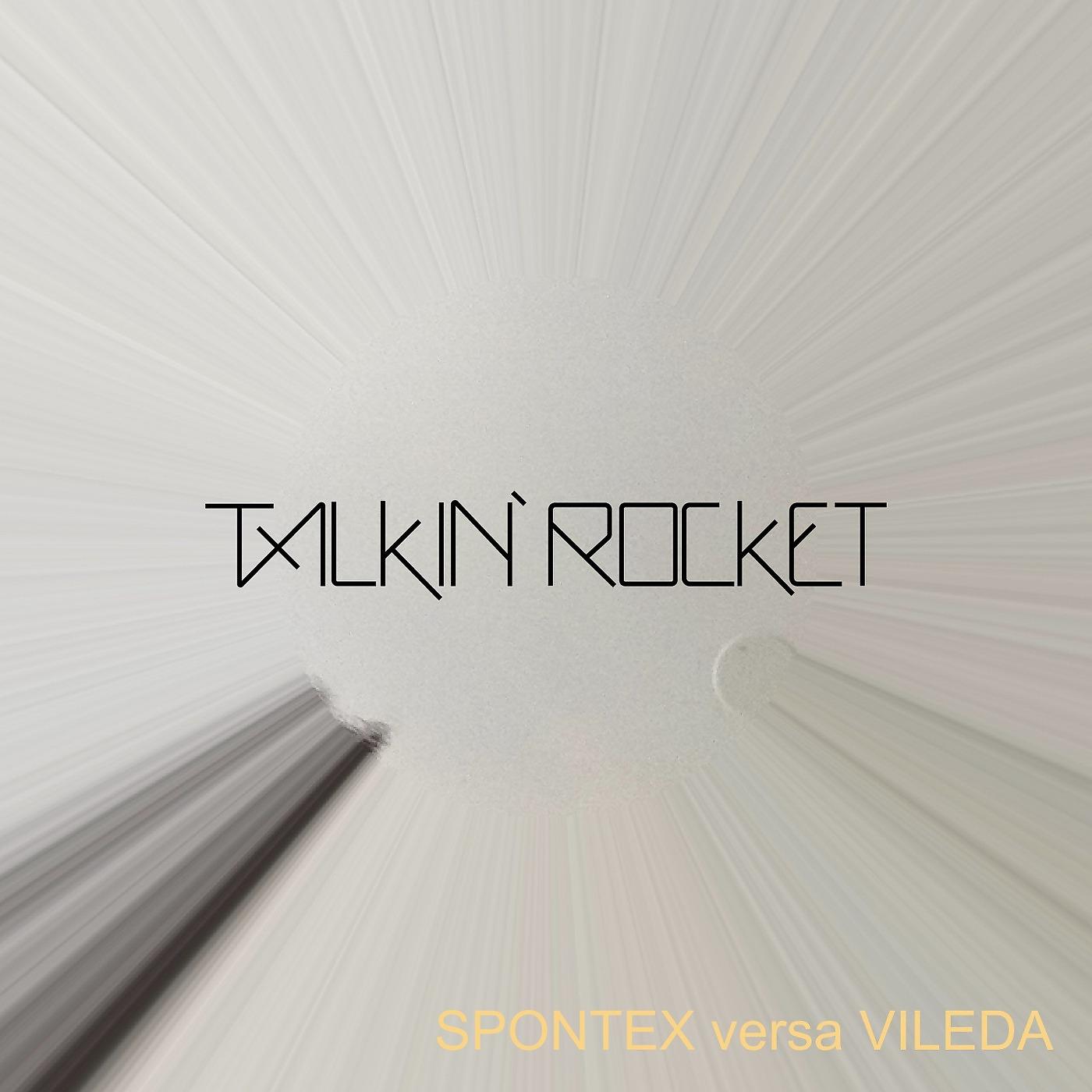 Постер альбома Spontex Versa Vileda