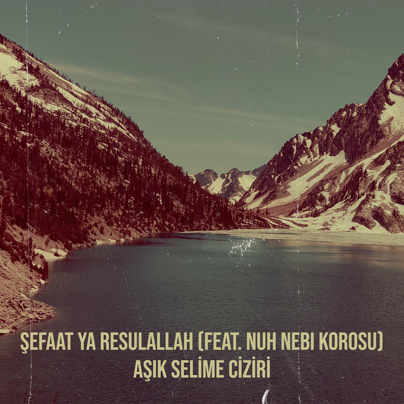 Постер альбома Şefaat Ya Resulallah
