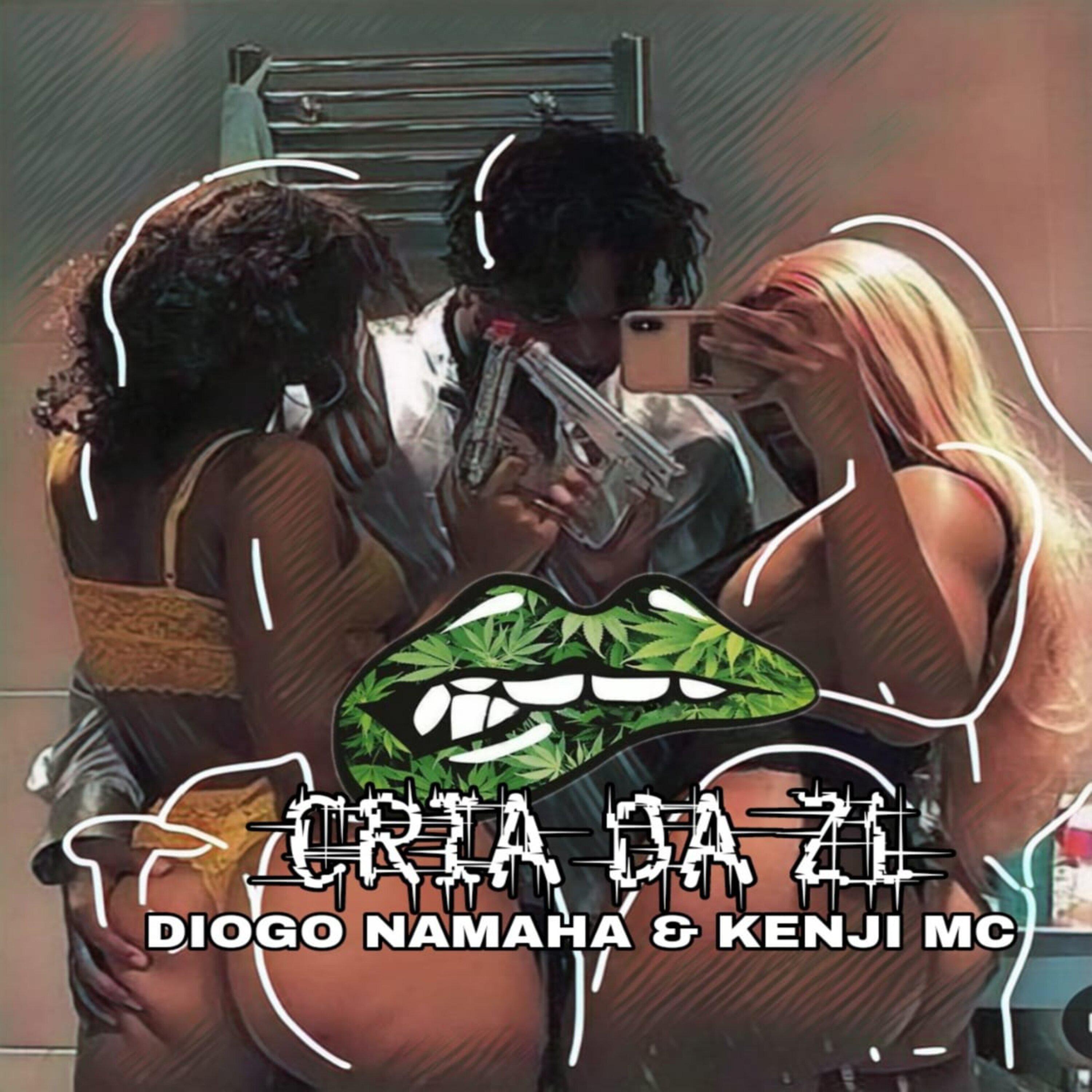 Постер альбома Cria da Zl