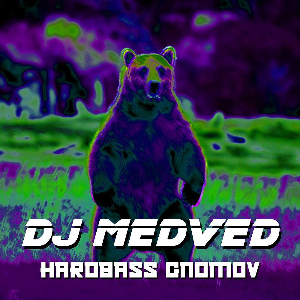 Постер альбома Hardbass Gnomov