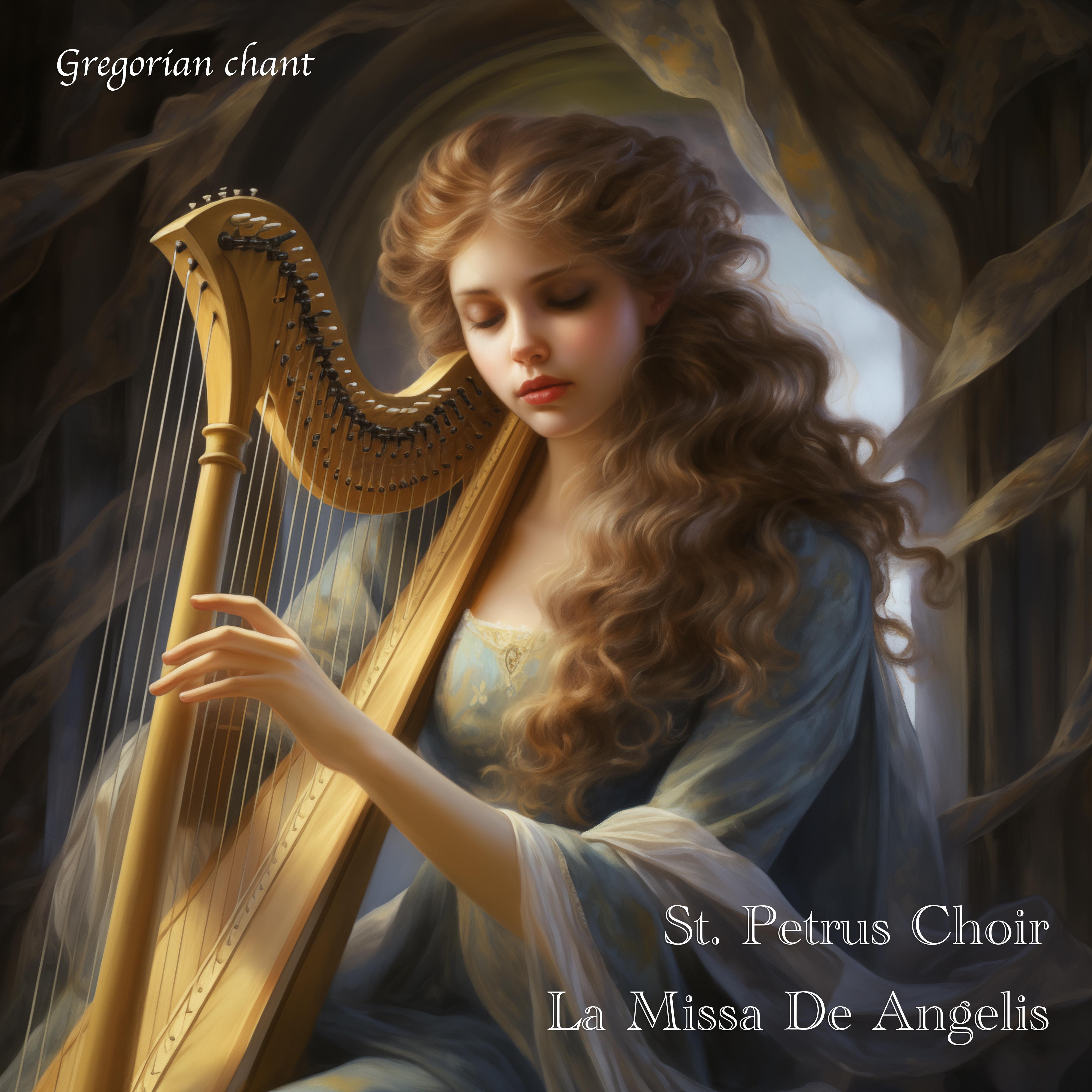 Постер альбома La Missa De Angelis (feat. 王锐)