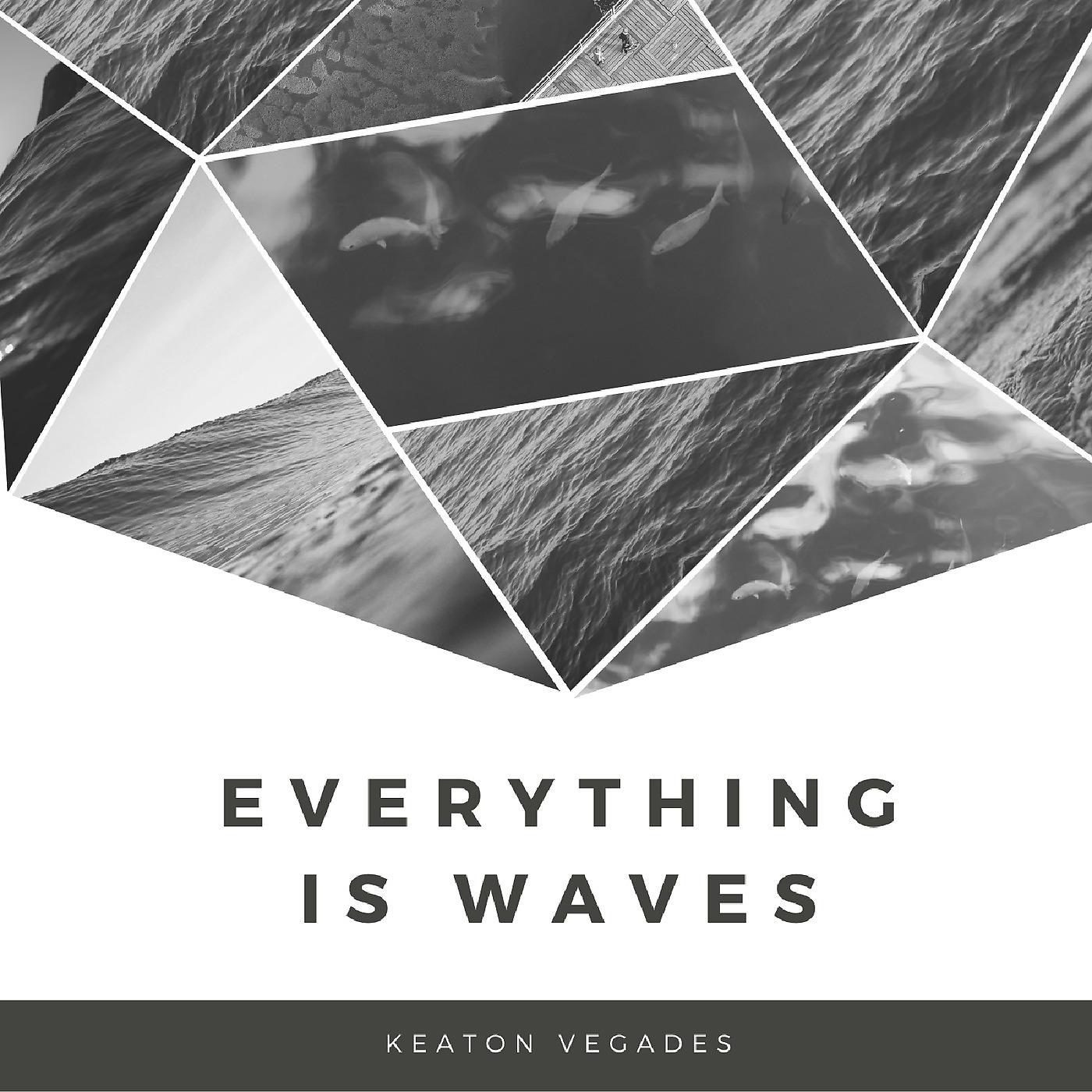 Постер альбома Everything Is Waves