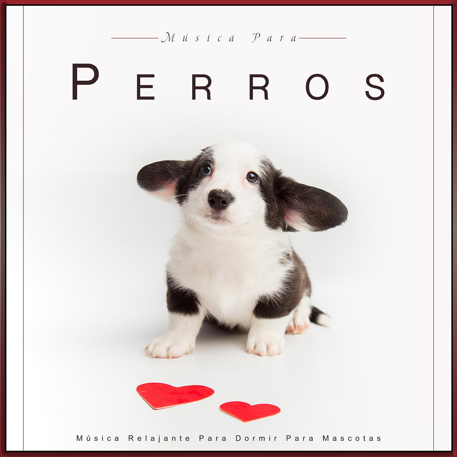 Постер альбома Música Para Perros: Música Relajante Para Dormir Para Mascotas