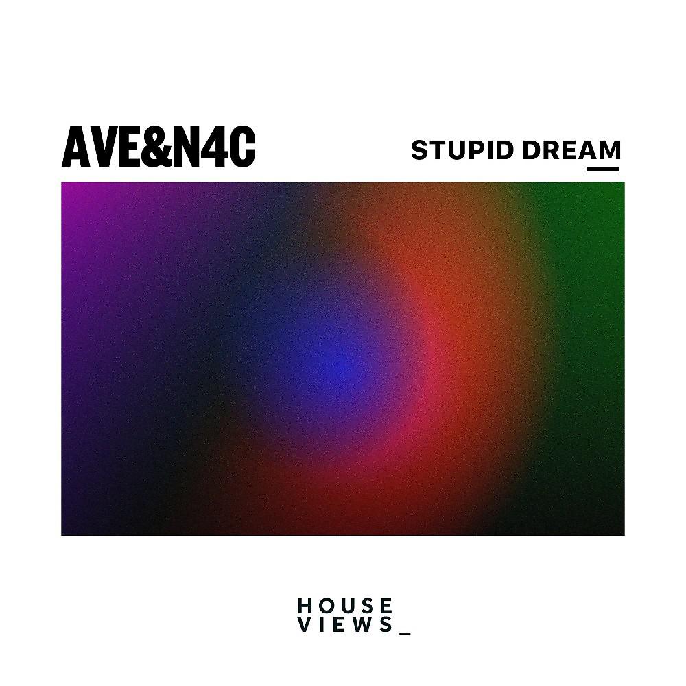Постер альбома Stupid Dream