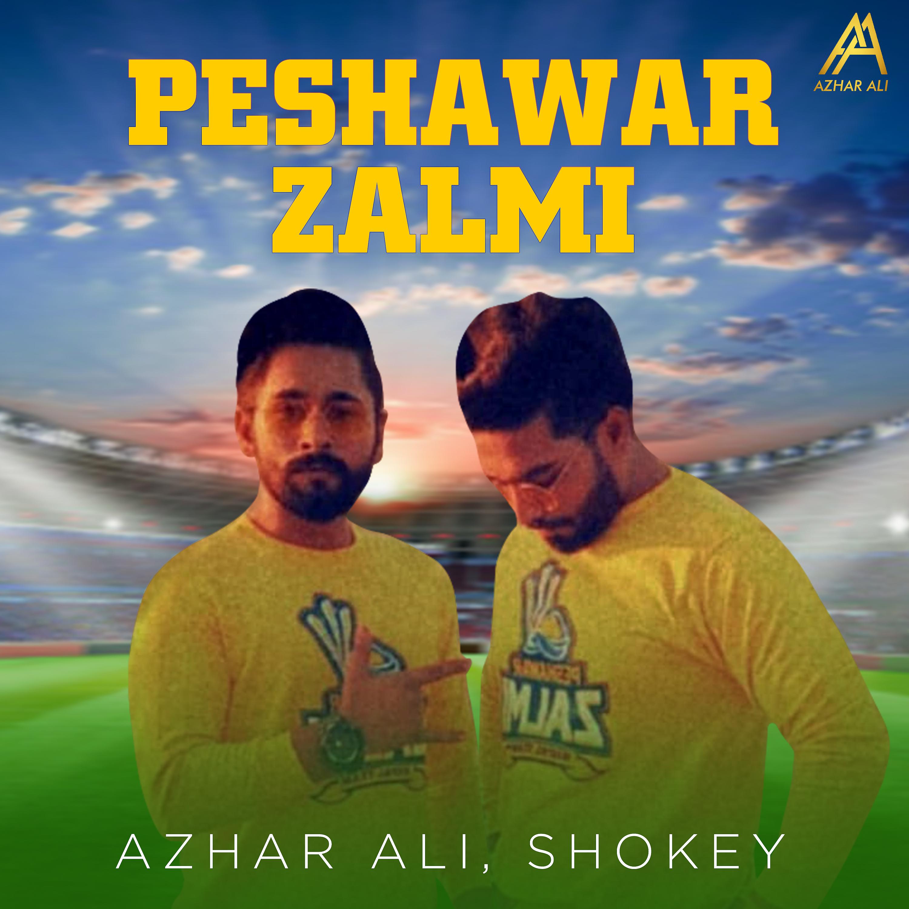 Постер альбома Peshawar Zalmi - Single