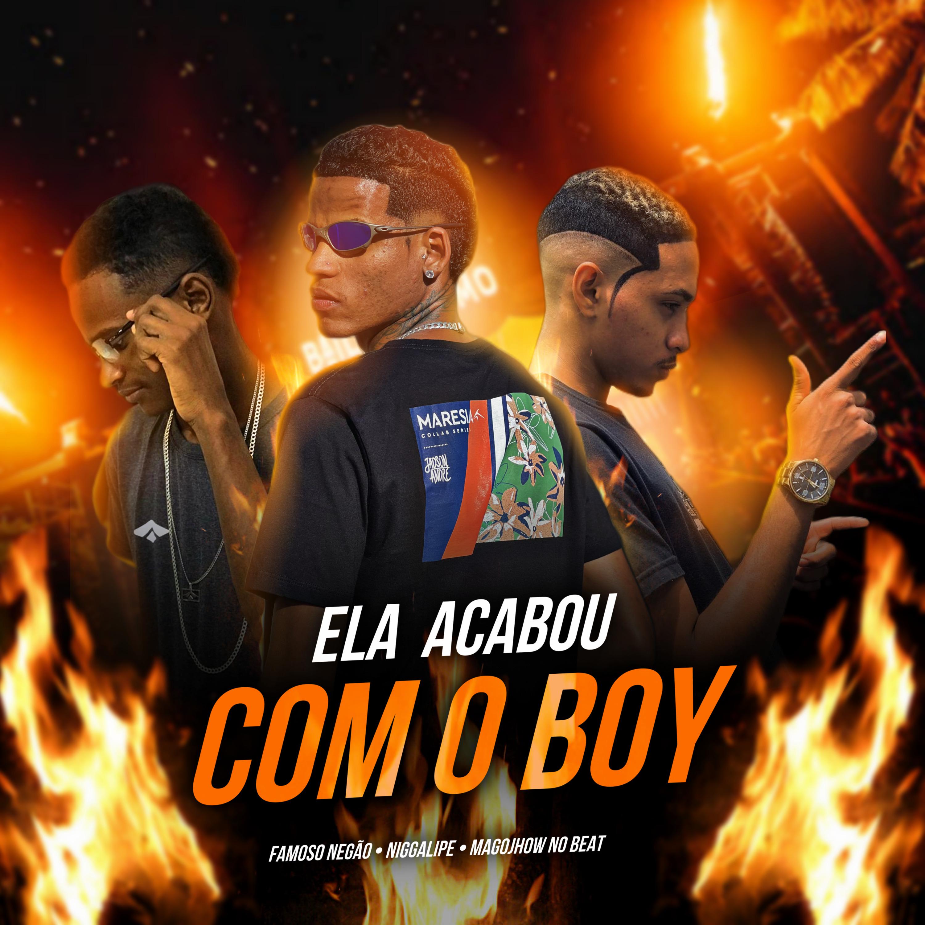 Постер альбома Ela Acabou Com o Boy