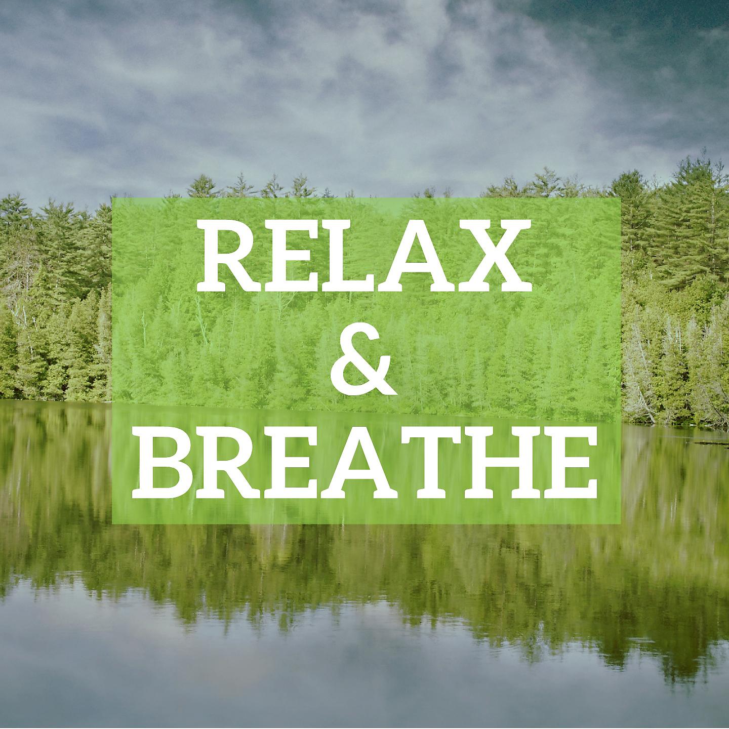 Постер альбома Relax & Breathe