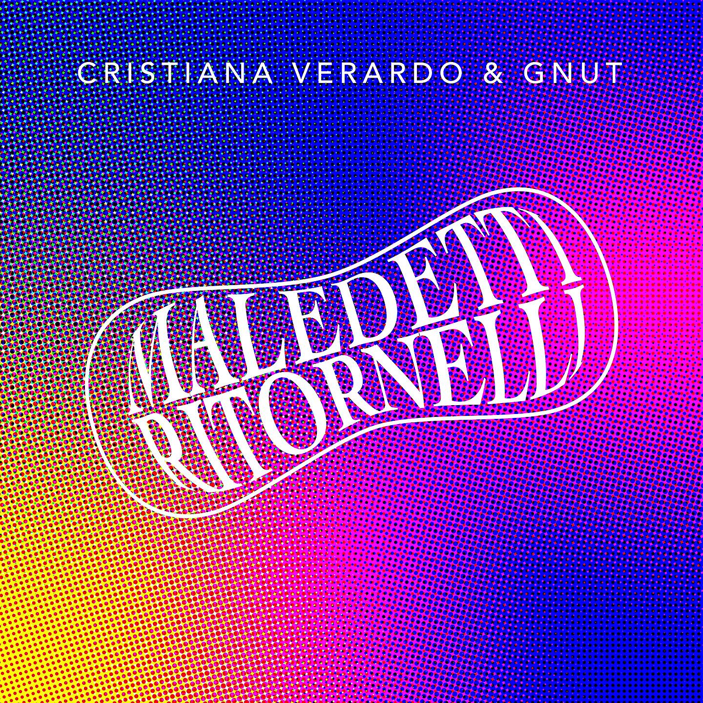Постер альбома Maledetti ritornelli